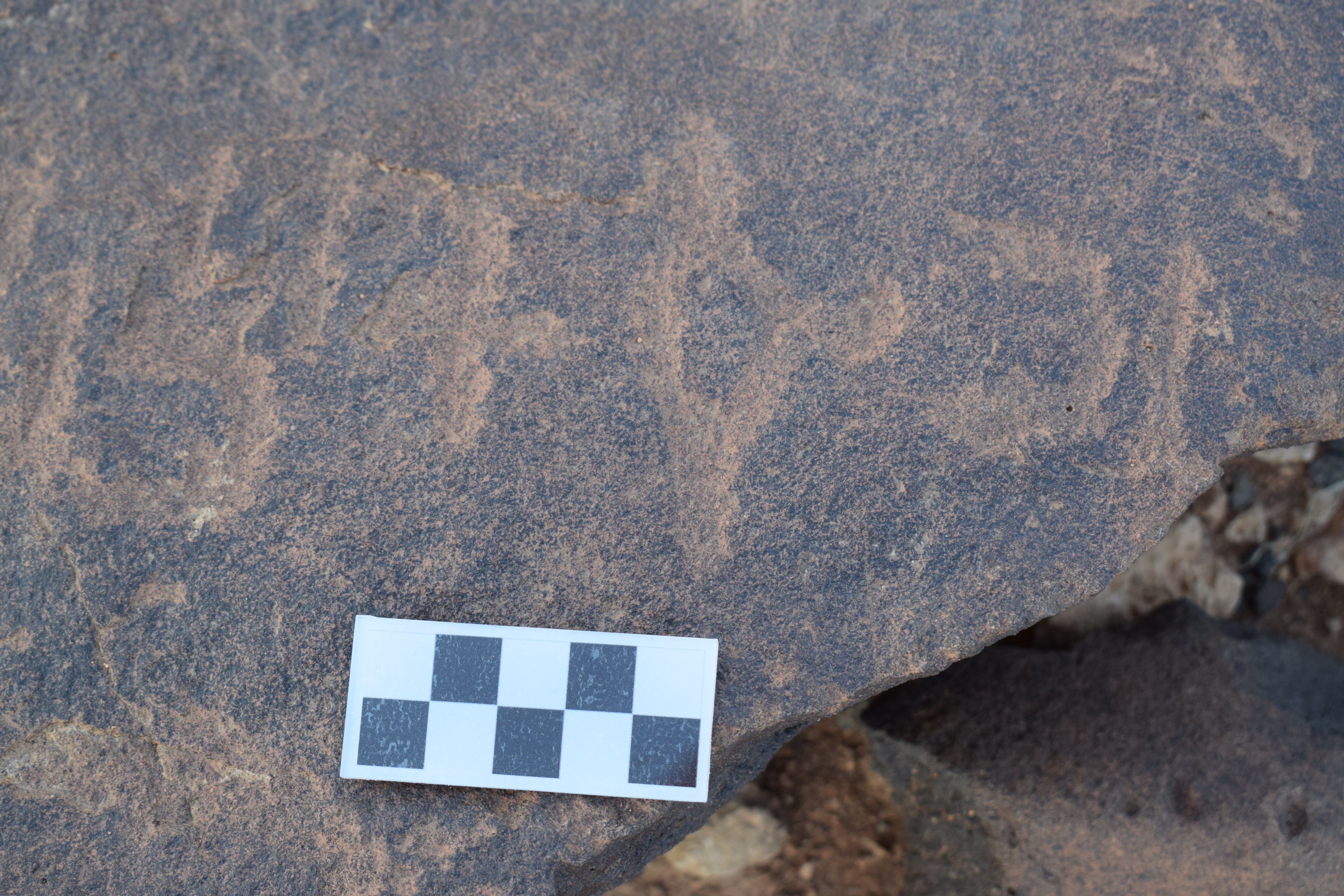 Image of siglum BES20 1376