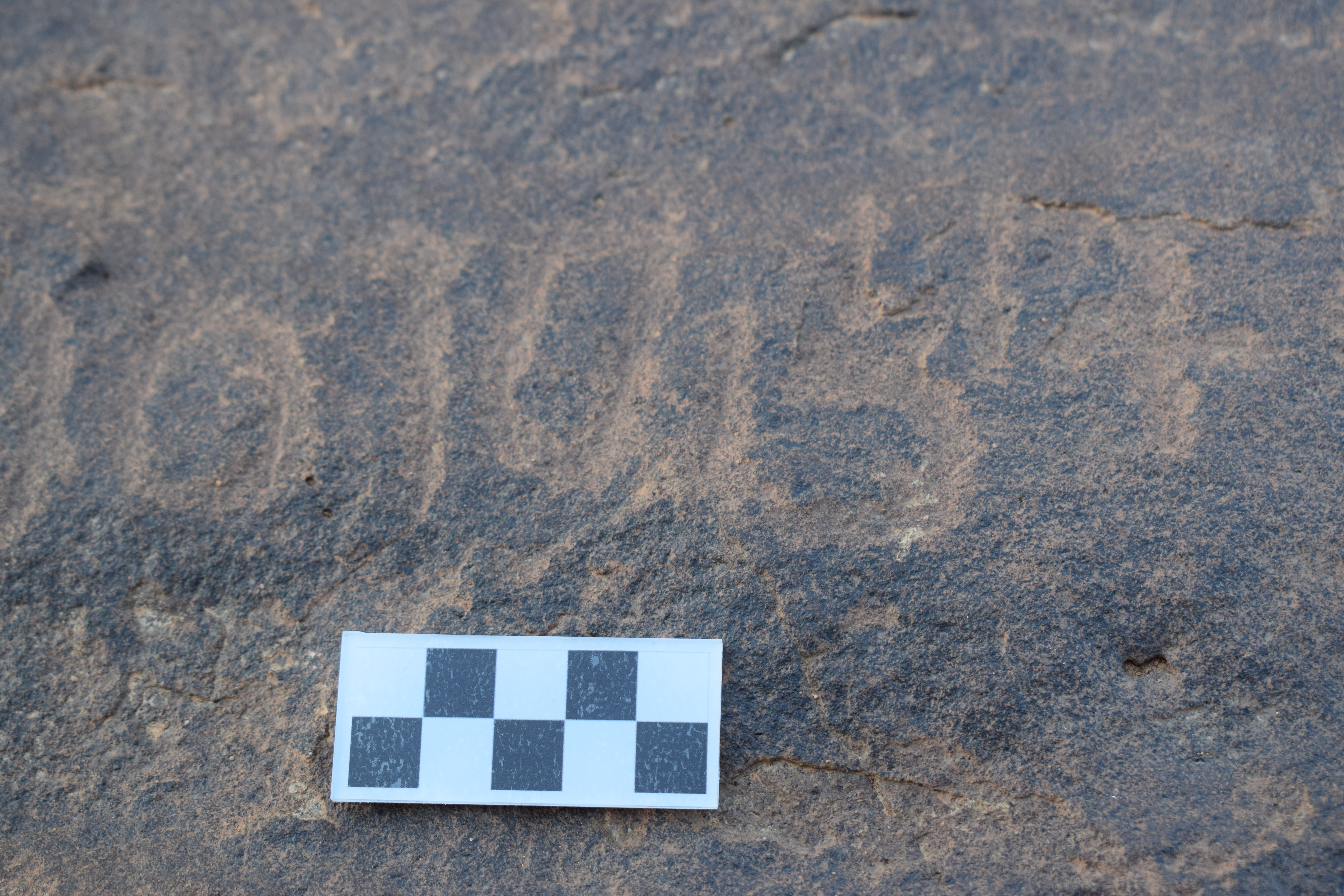 Image of siglum BES20 1376