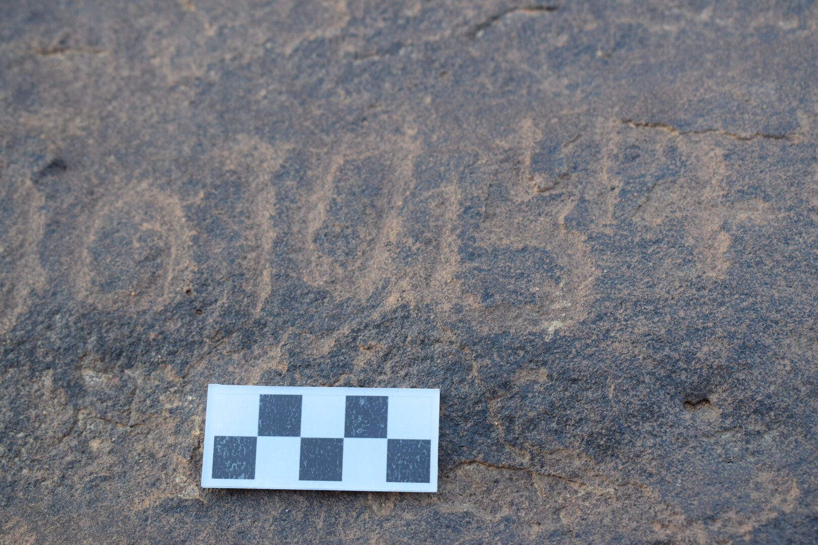Image of siglum BES20 1376