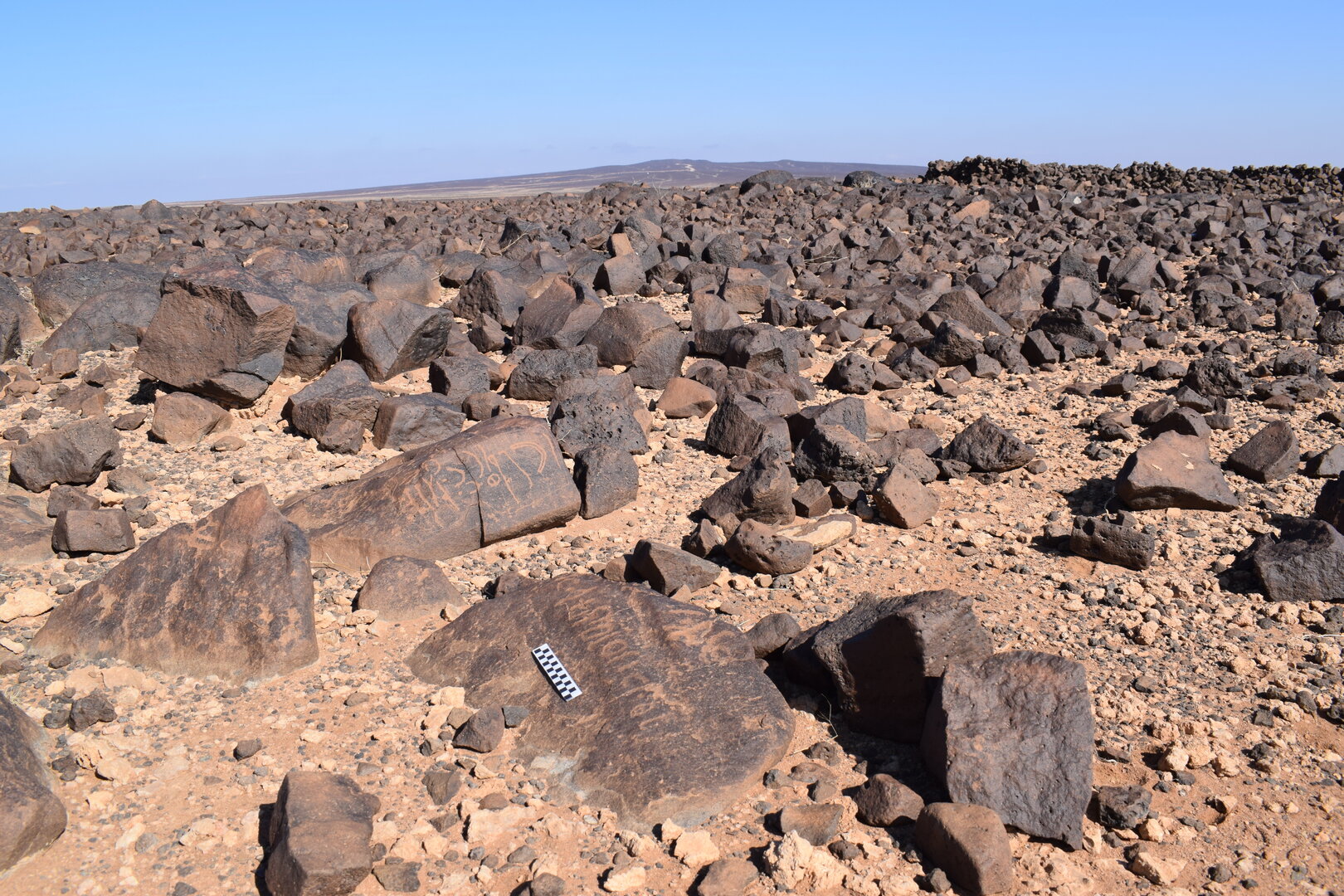 Image of siglum BES20 1377