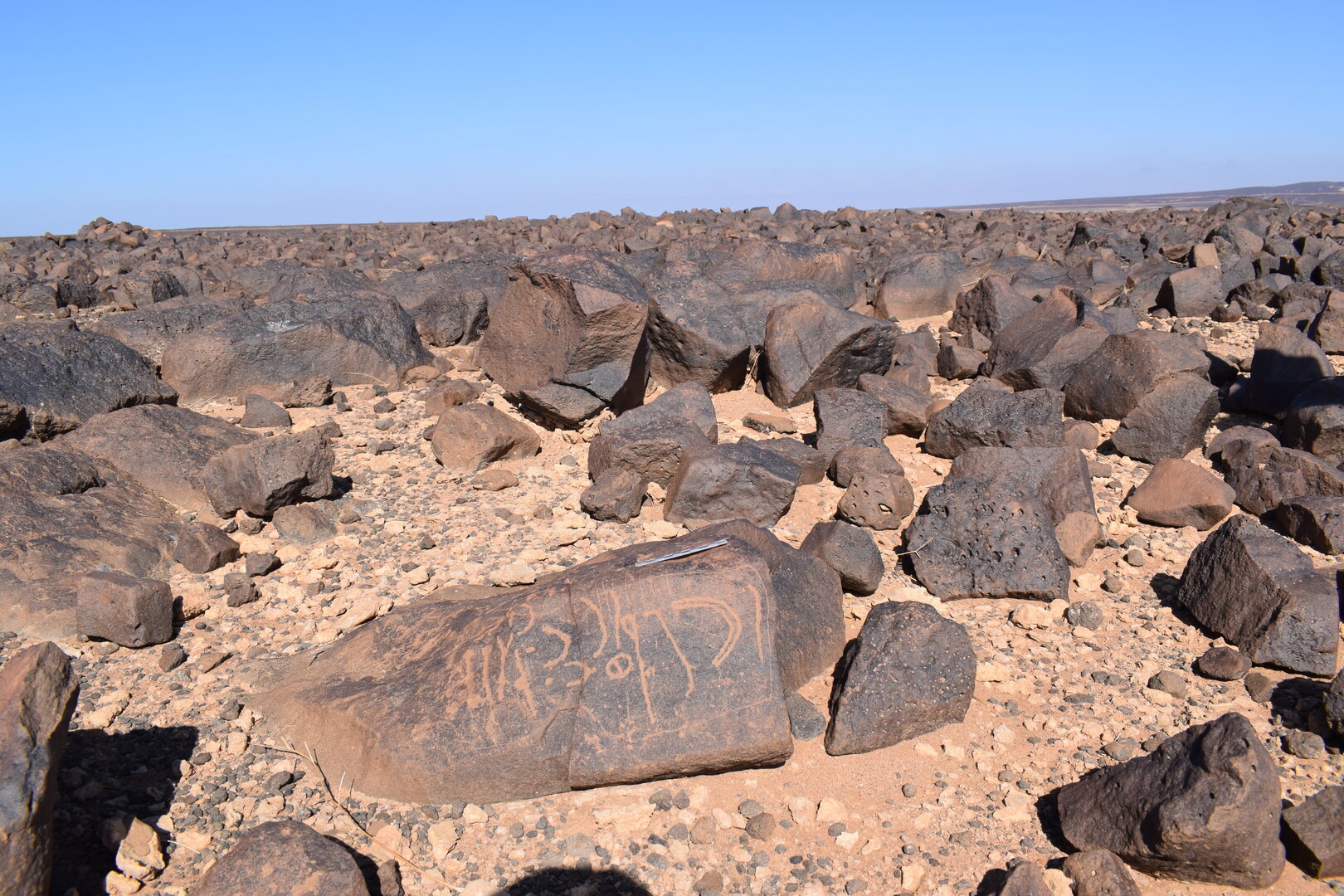 Image of siglum BES20 1380