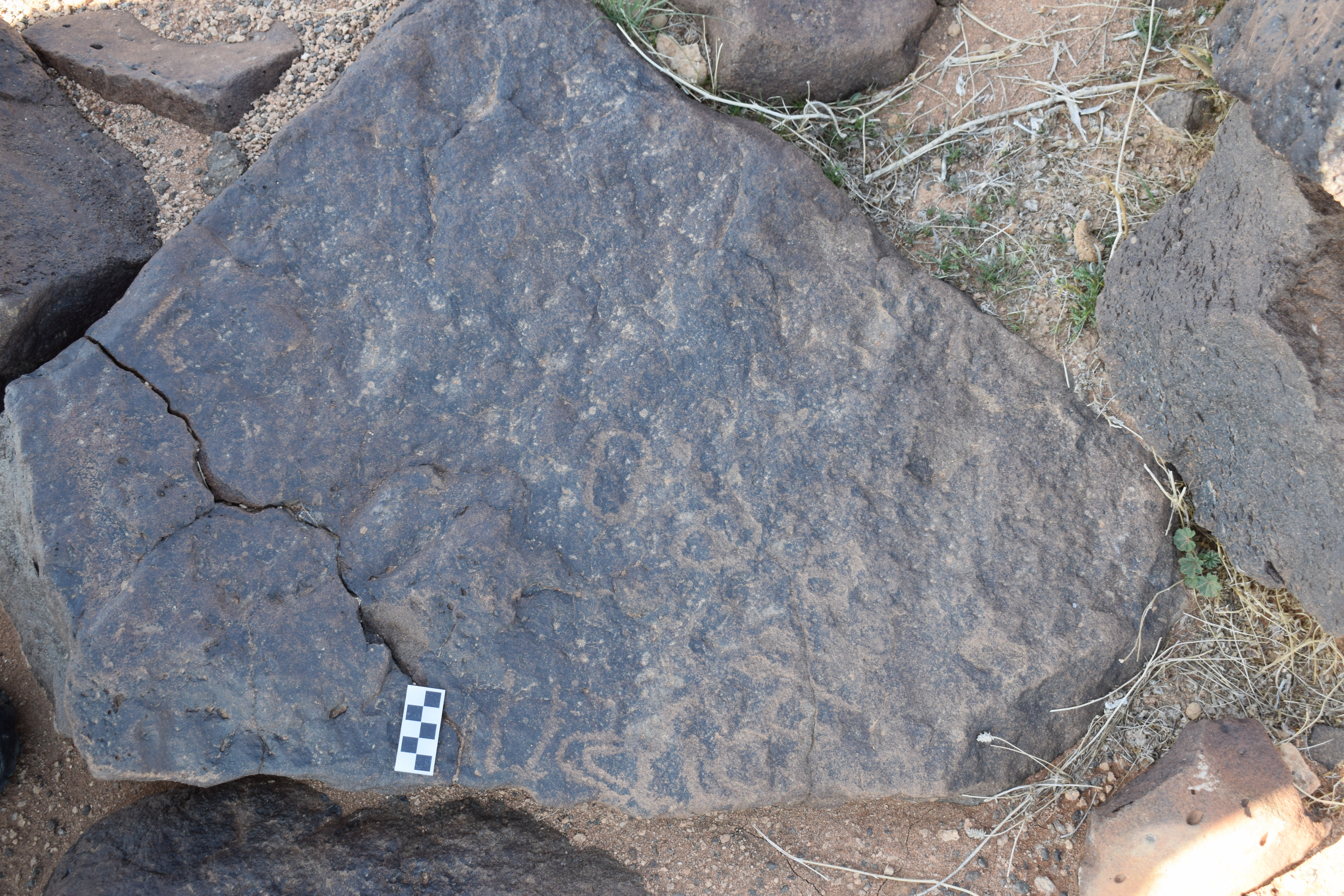 Image of siglum BES20 1381