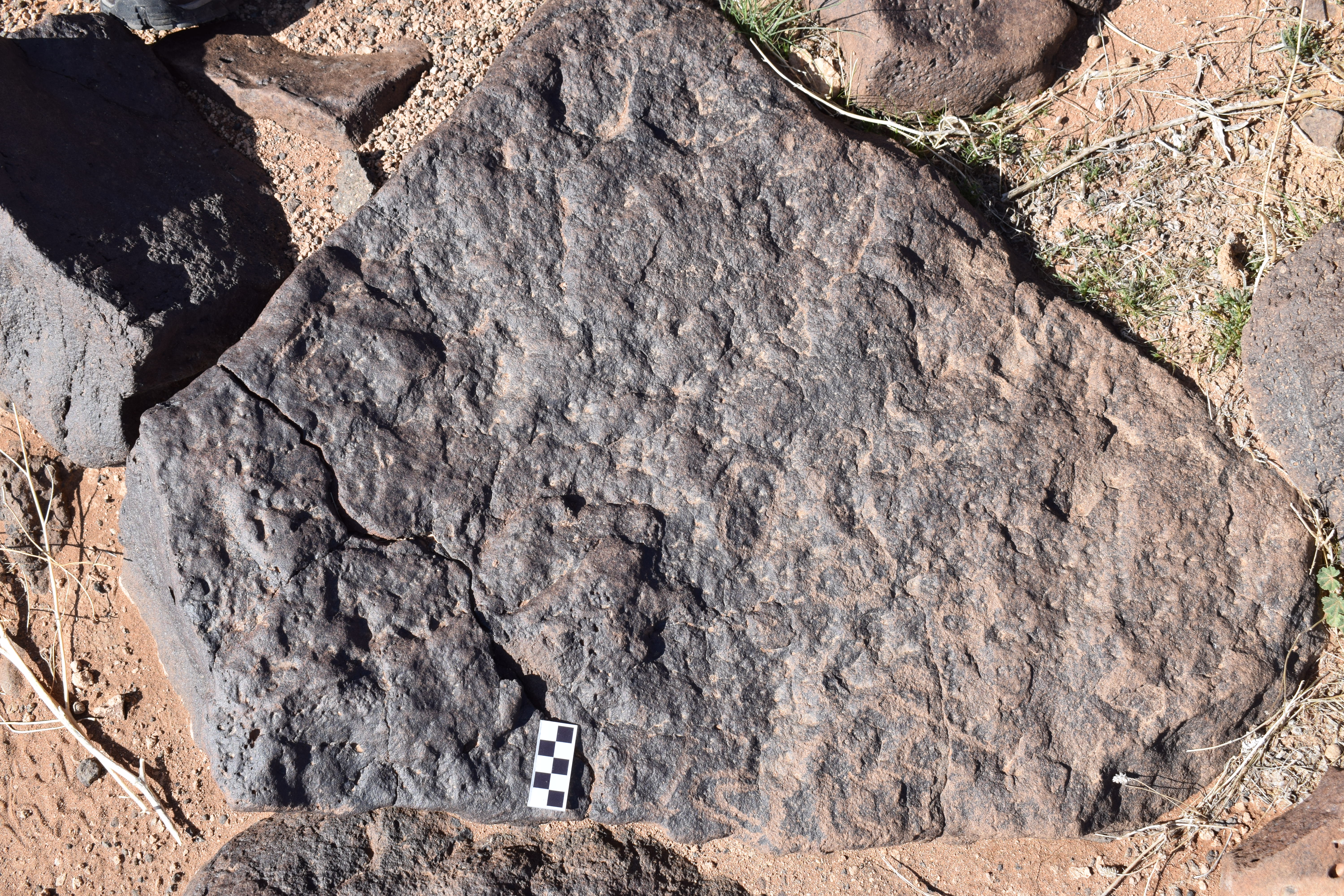 Image of siglum BES20 1382