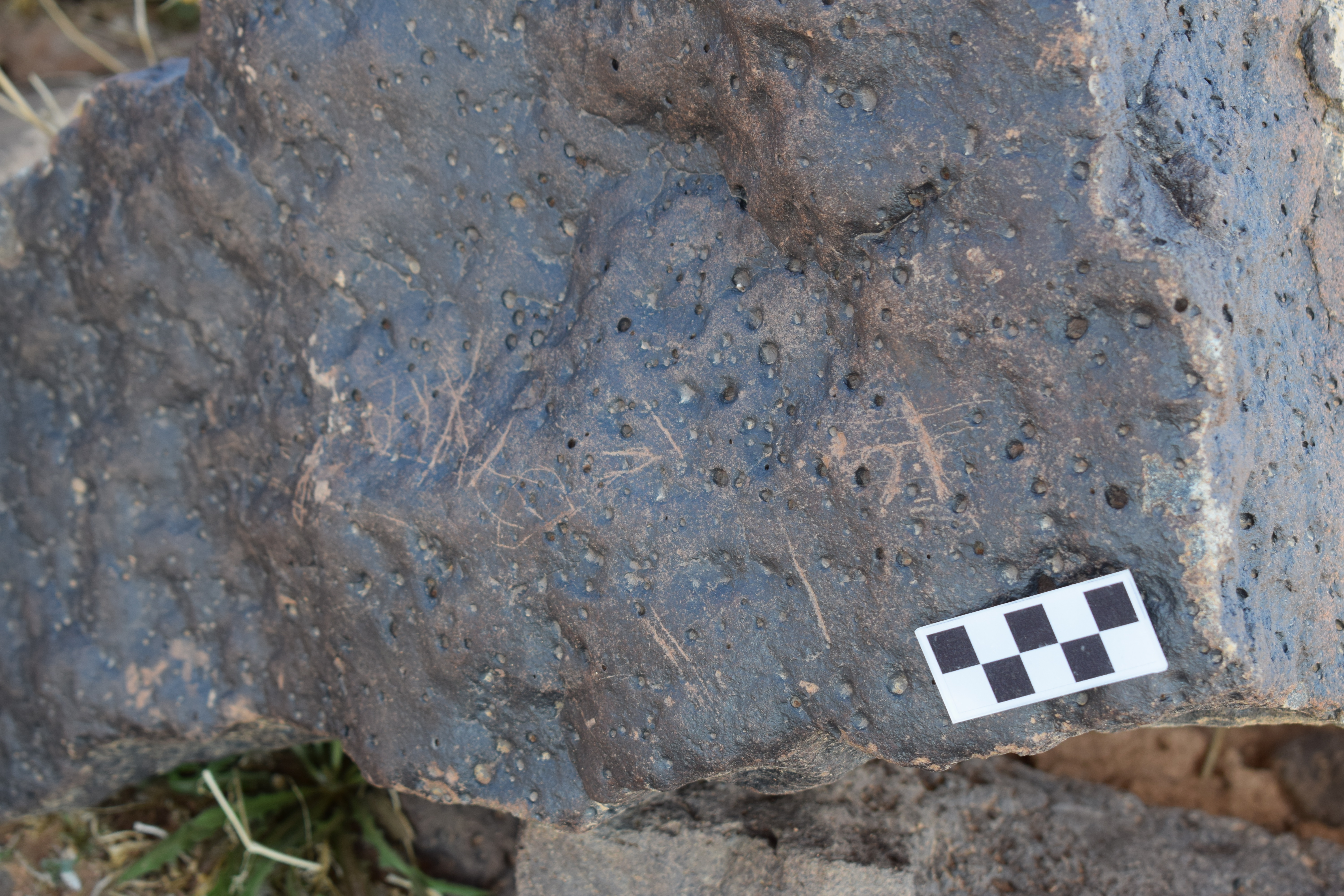 Image of siglum BES20 1383