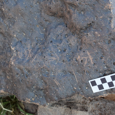 Image of siglum BES20 1383