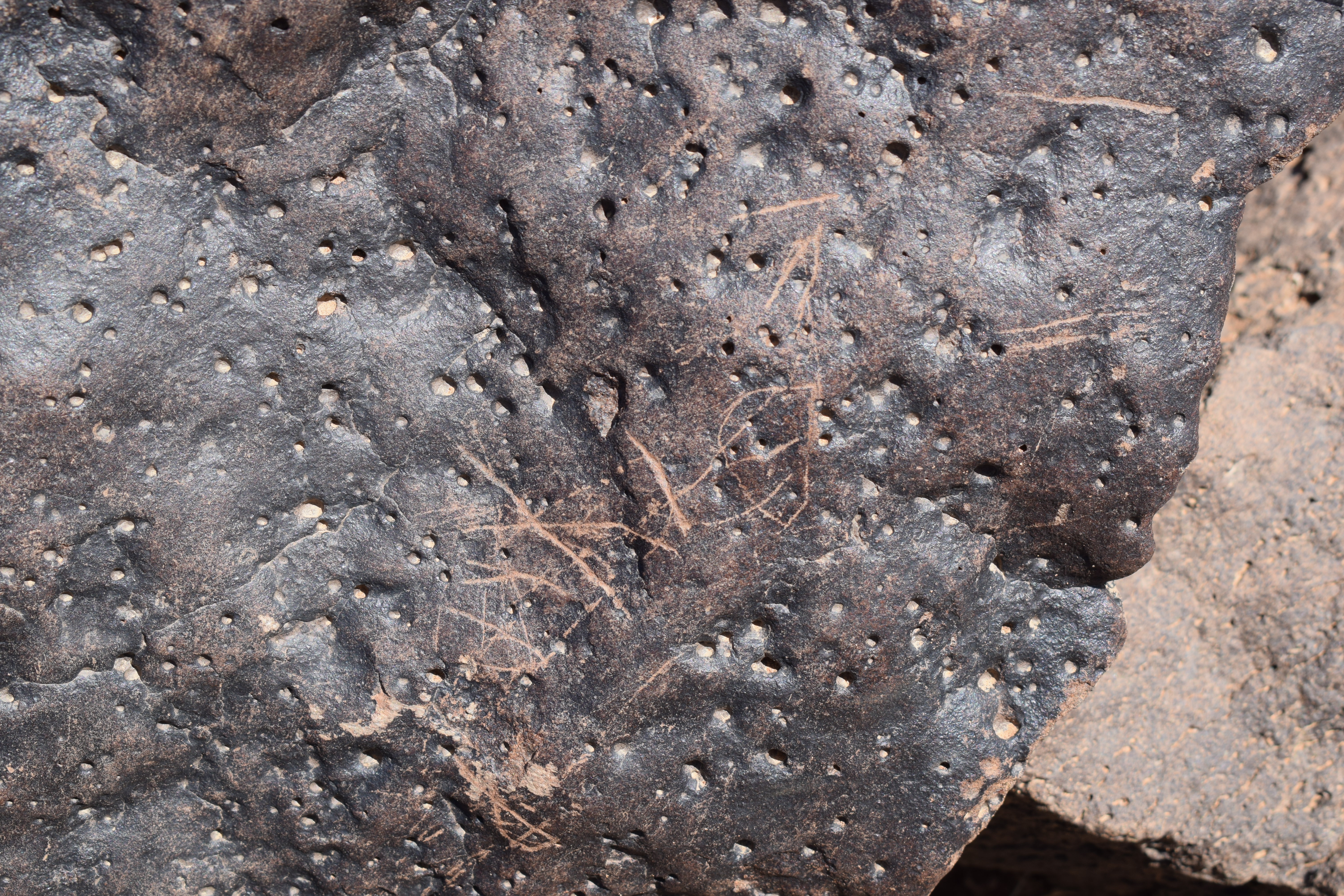 Image of siglum BES20 1384