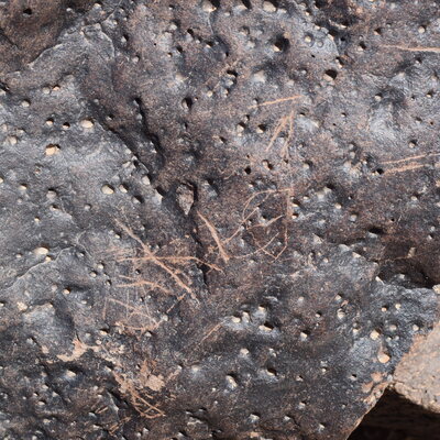 Image of siglum BES20 1384