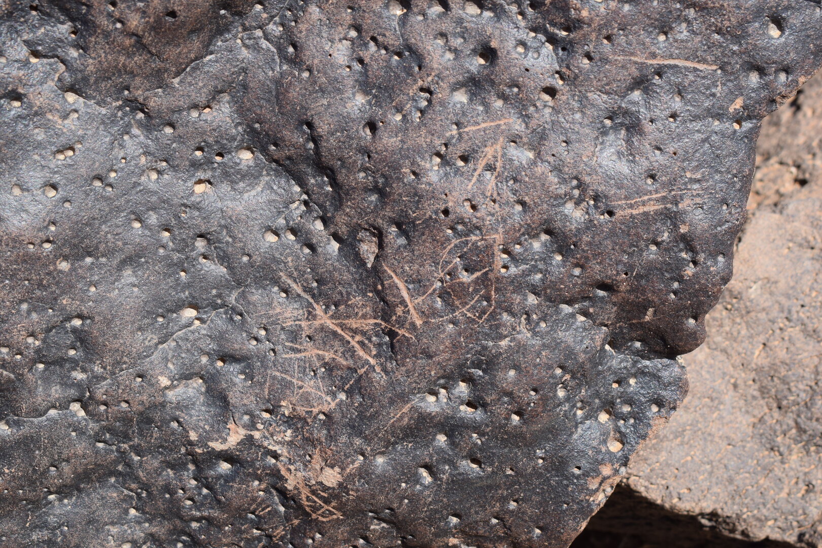 Image of siglum BES20 1384