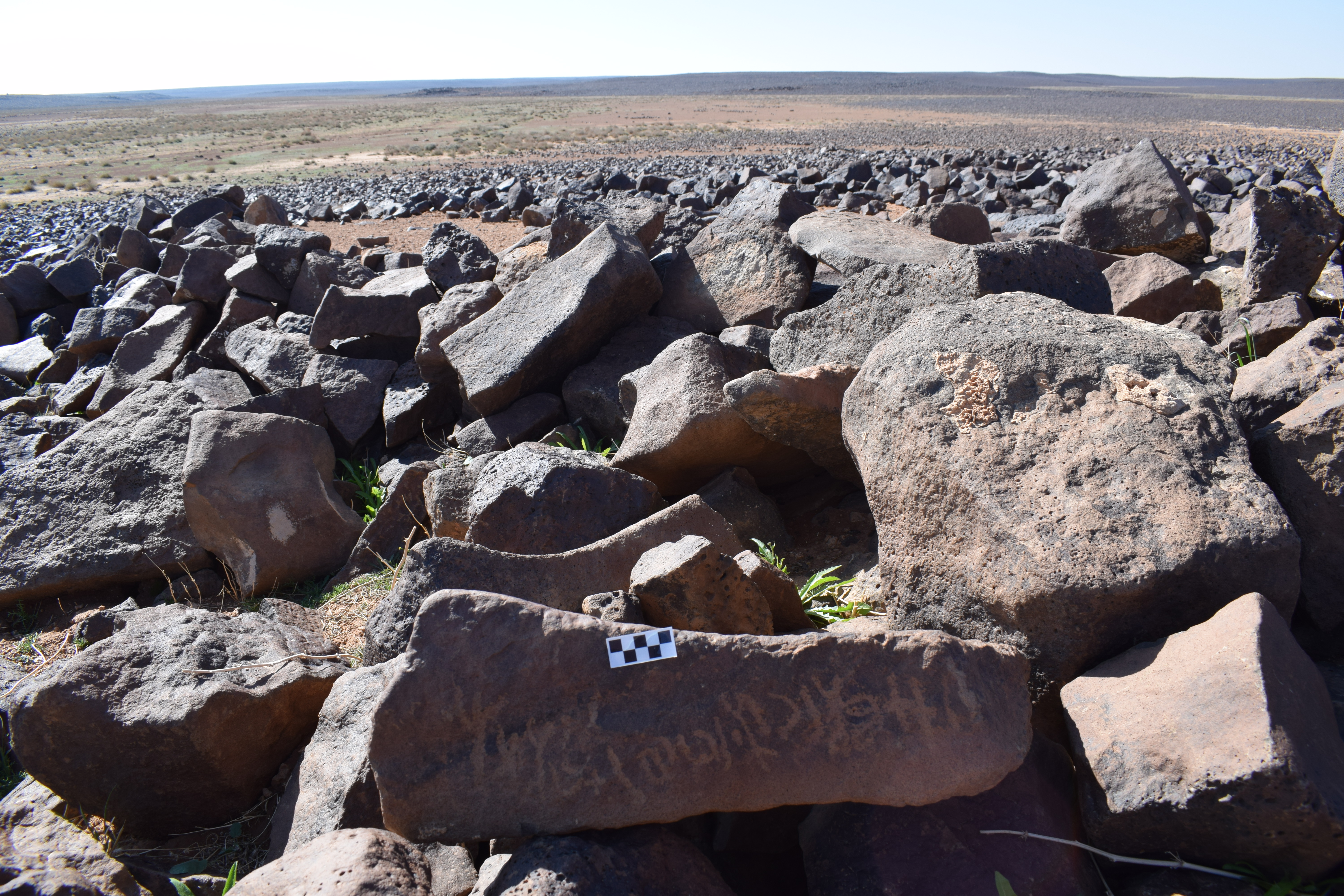 Image of siglum BES20 1385