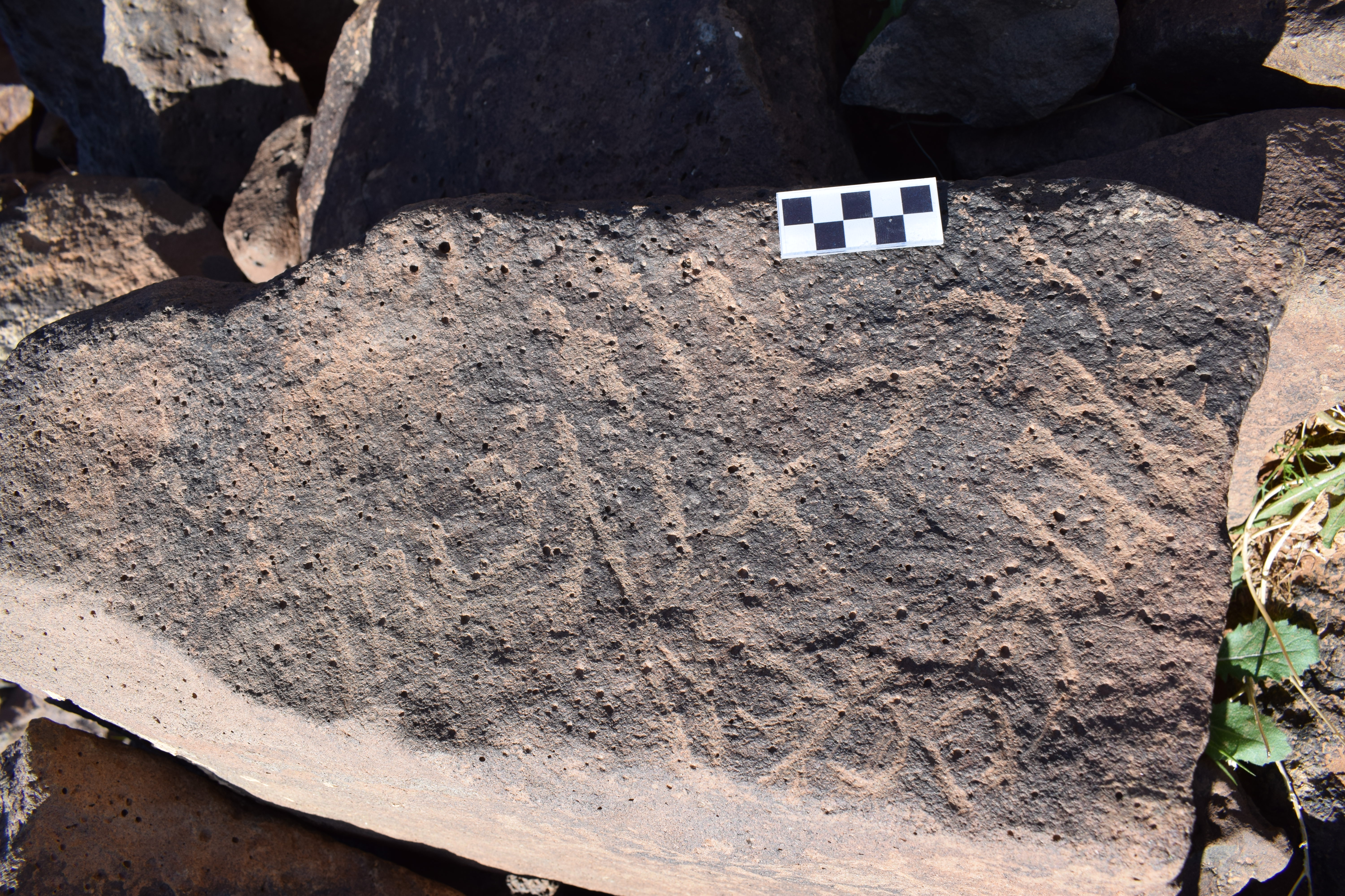 Image of siglum BES20 1385