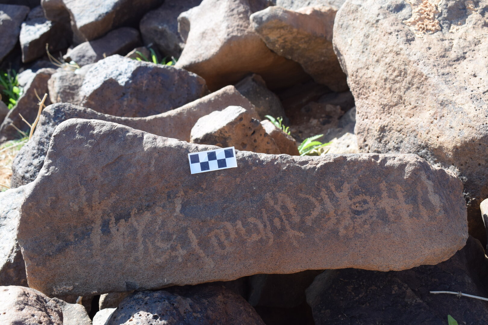 Image of siglum BES20 1385