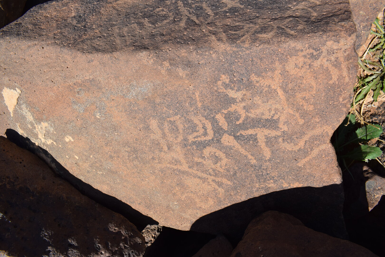 Image of siglum BES20 1385