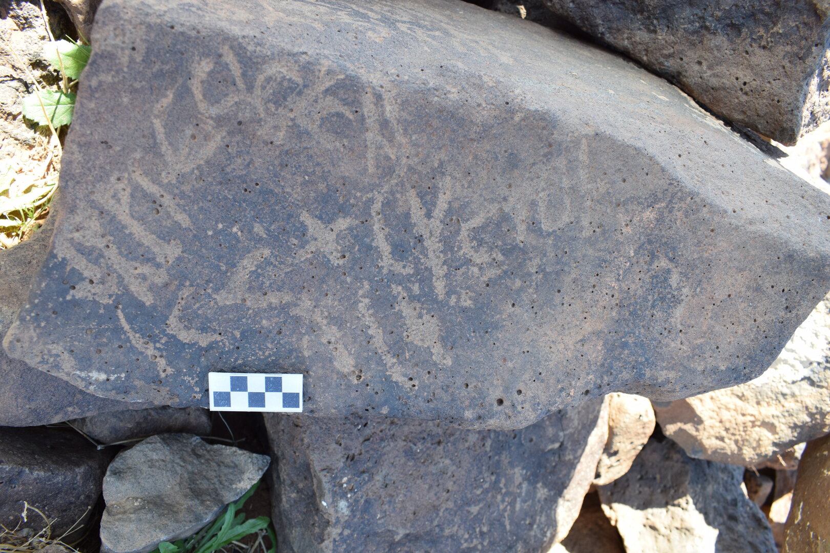 Image of siglum BES20 1386