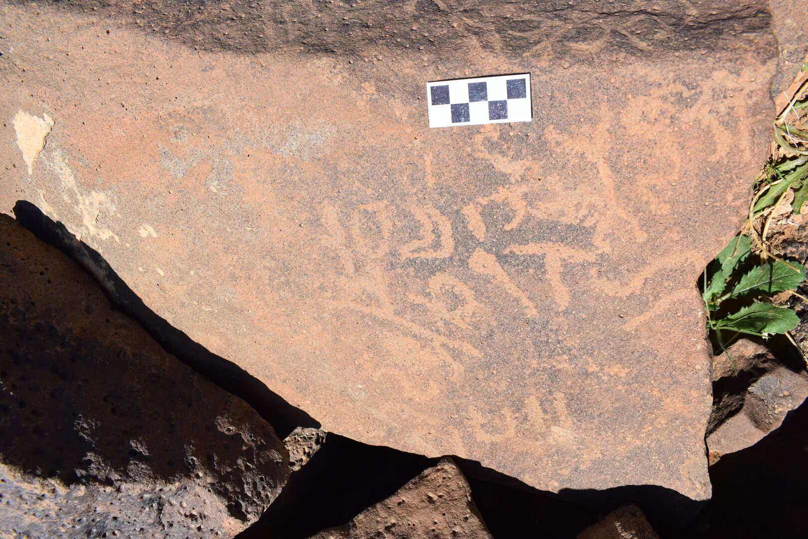 Image of siglum BES20 1386