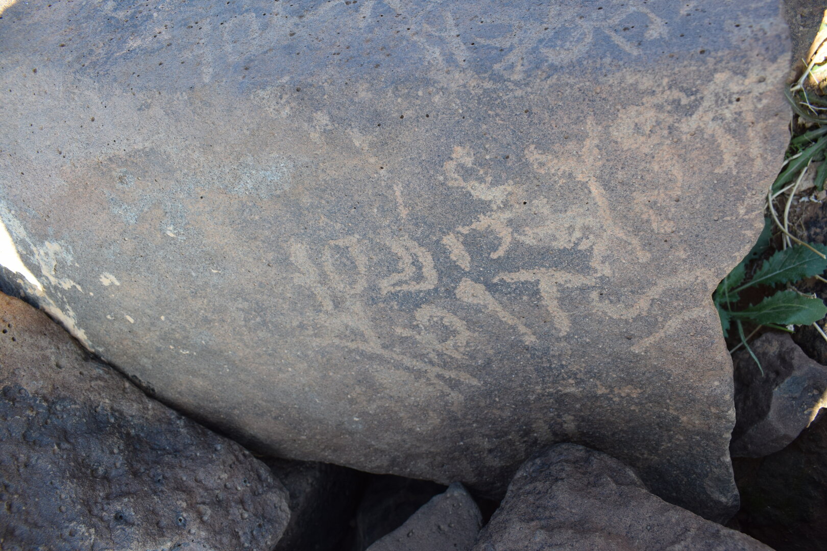Image of siglum BES20 1388