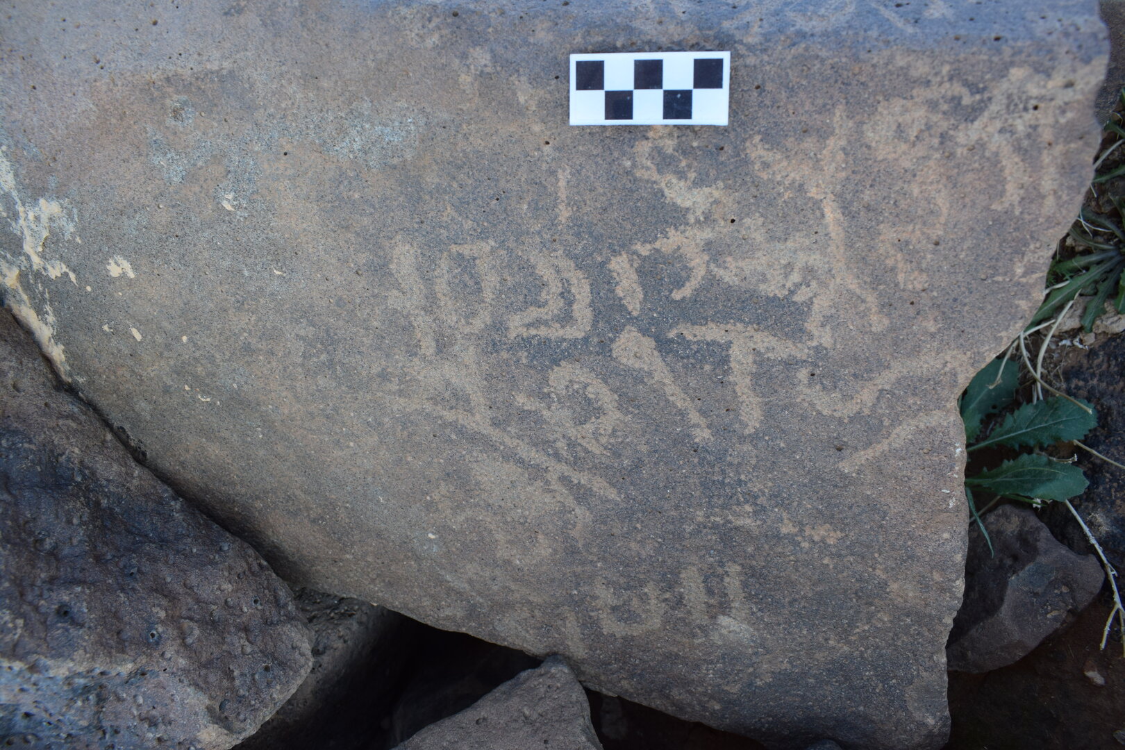 Image of siglum BES20 1388
