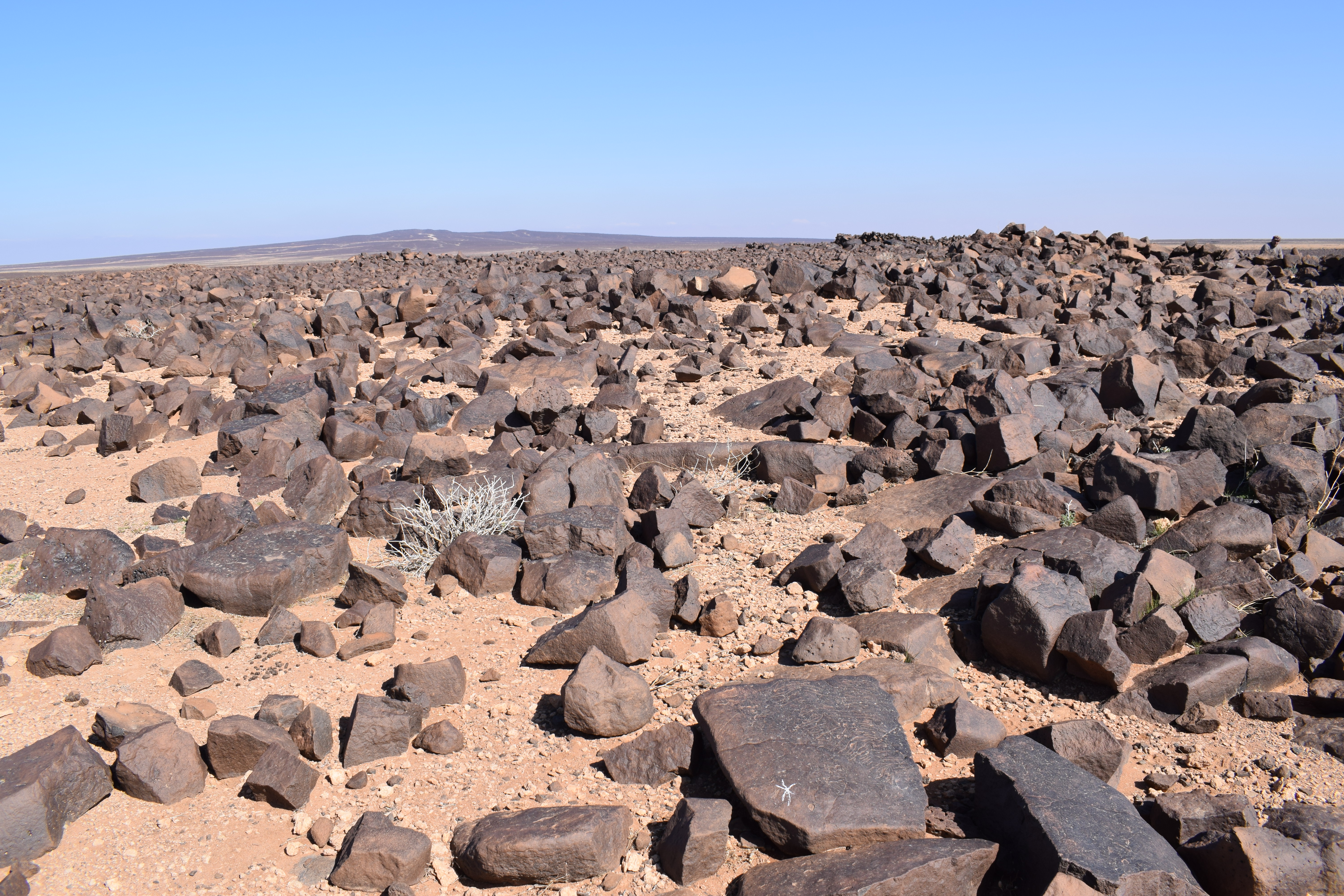 Image of siglum BES20 1389
