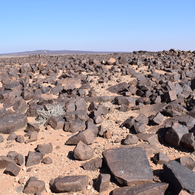 Image of siglum BES20 1389