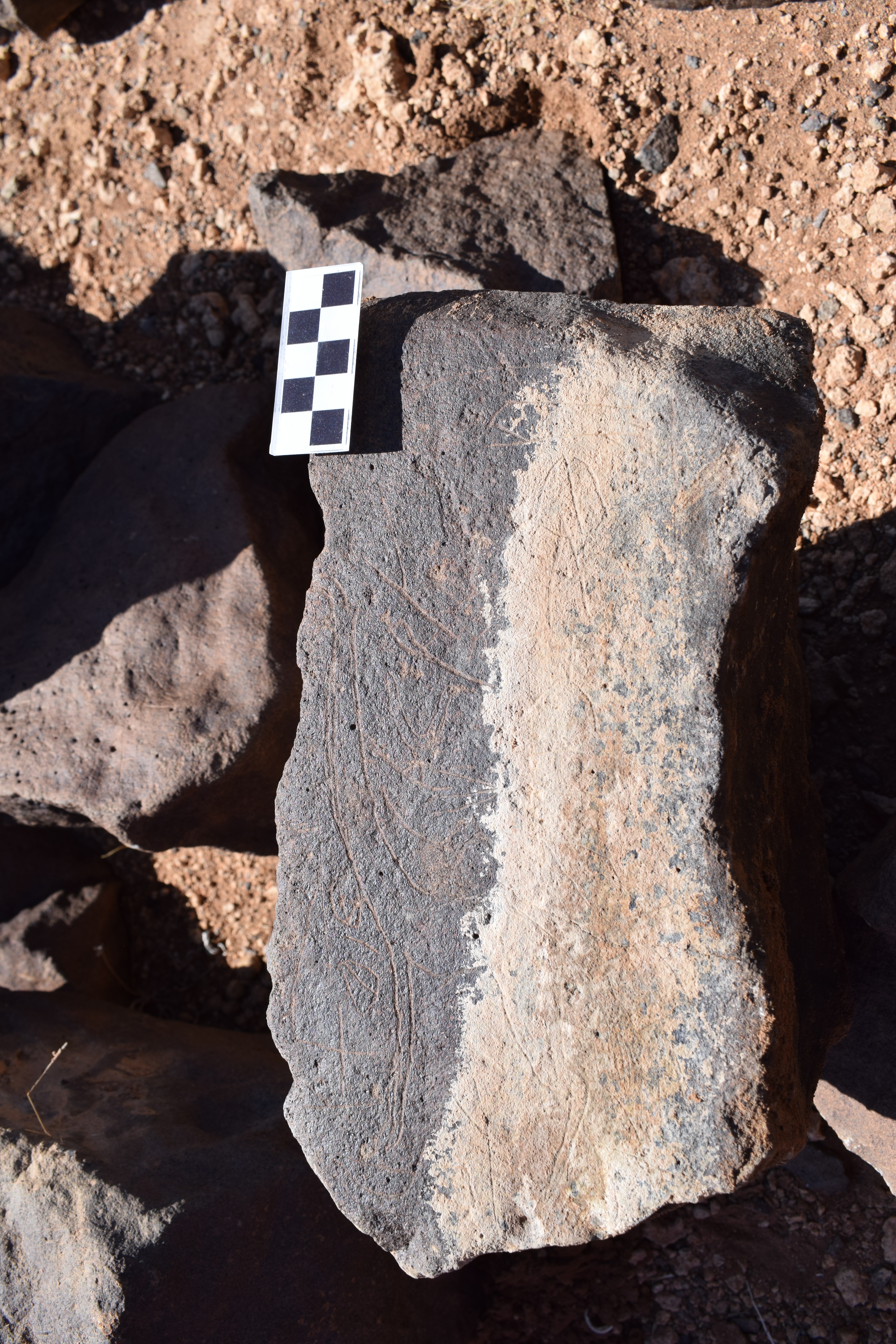 Image of siglum BES20 1393