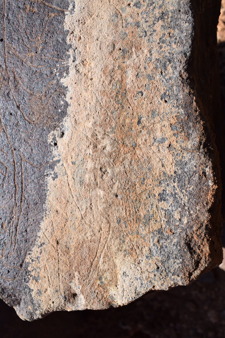 Image of siglum BES20 1394