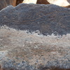 Image of siglum BES20 1394