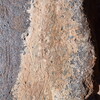 Image of siglum BES20 1394