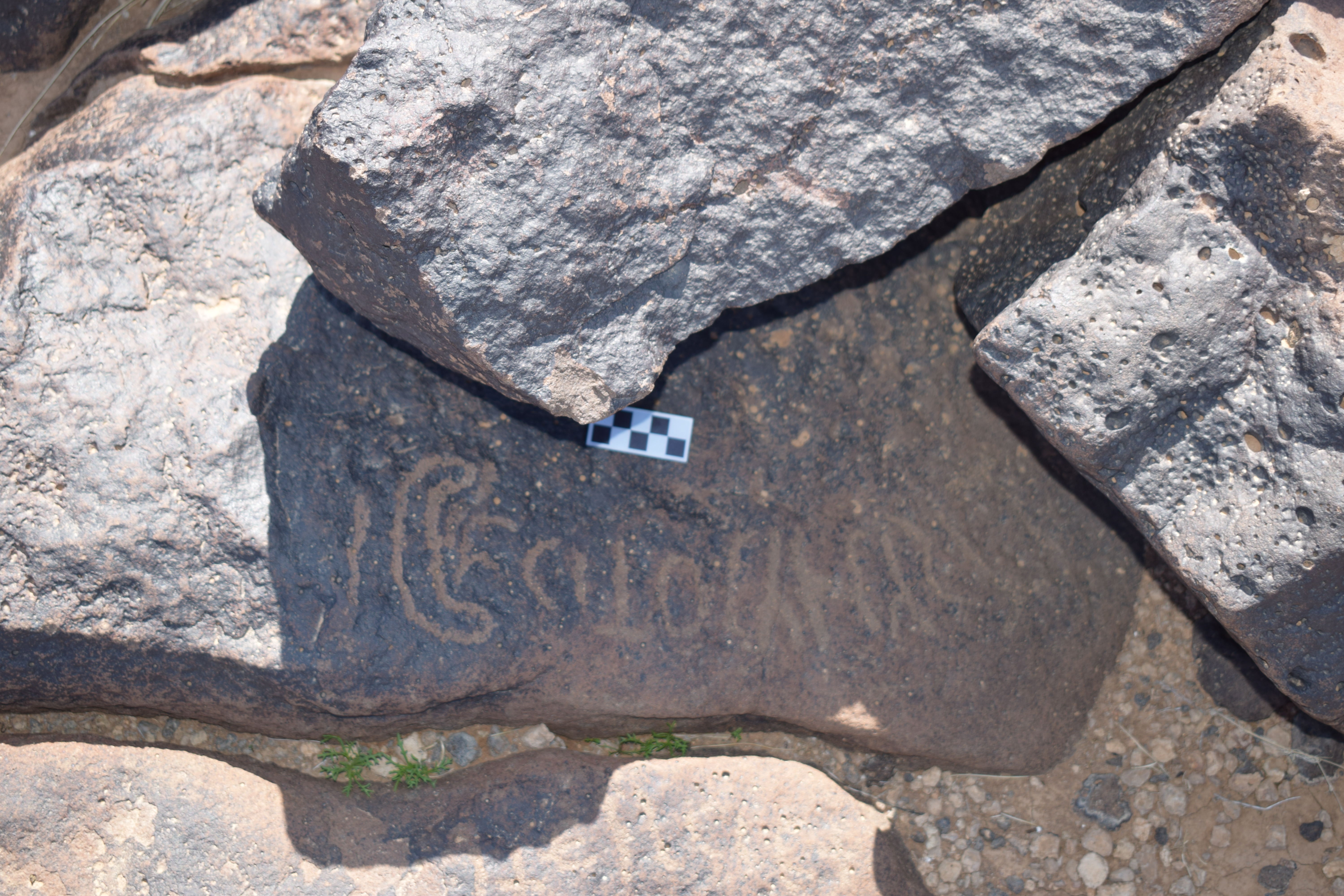 Image of siglum BES20 1395