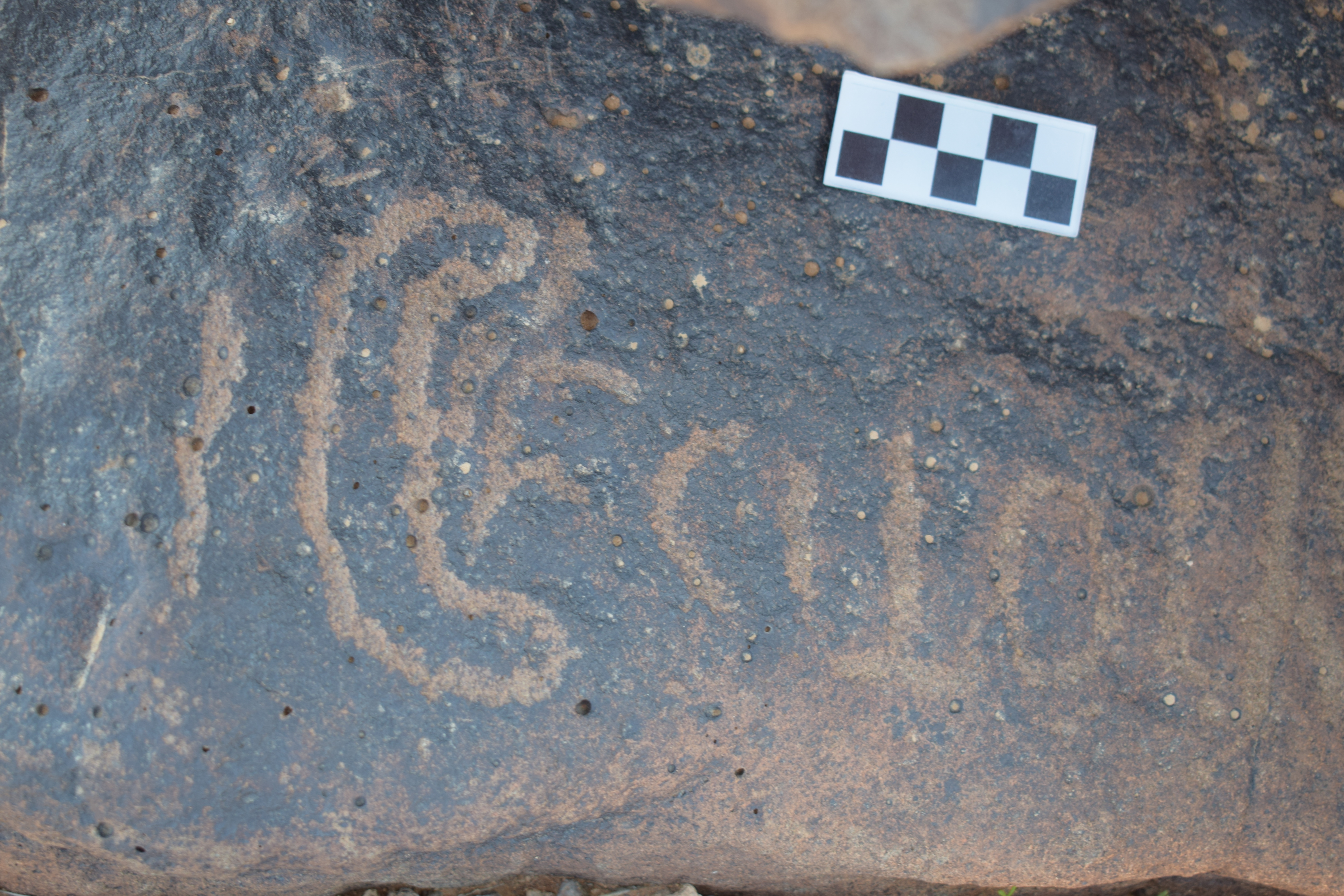 Image of siglum BES20 1395