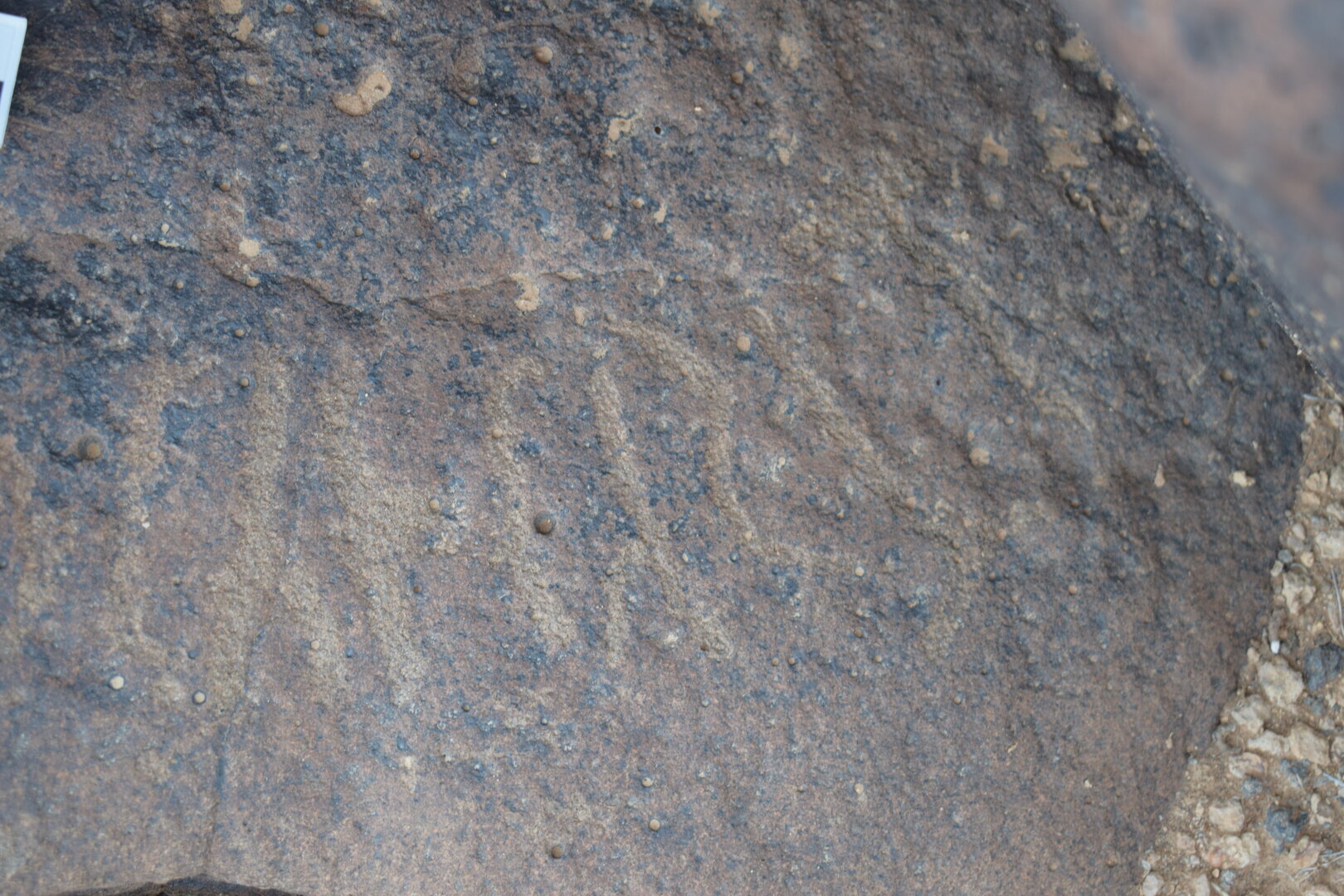 Image of siglum BES20 1395