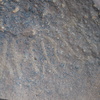 Image of siglum BES20 1395
