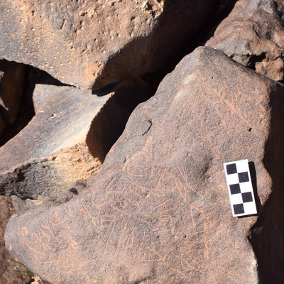 Image of siglum BES20 1396