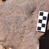 Image of siglum BES20 1396