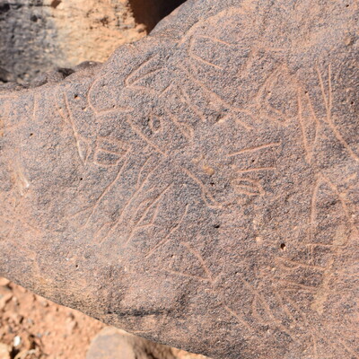 Image of siglum BES20 1397