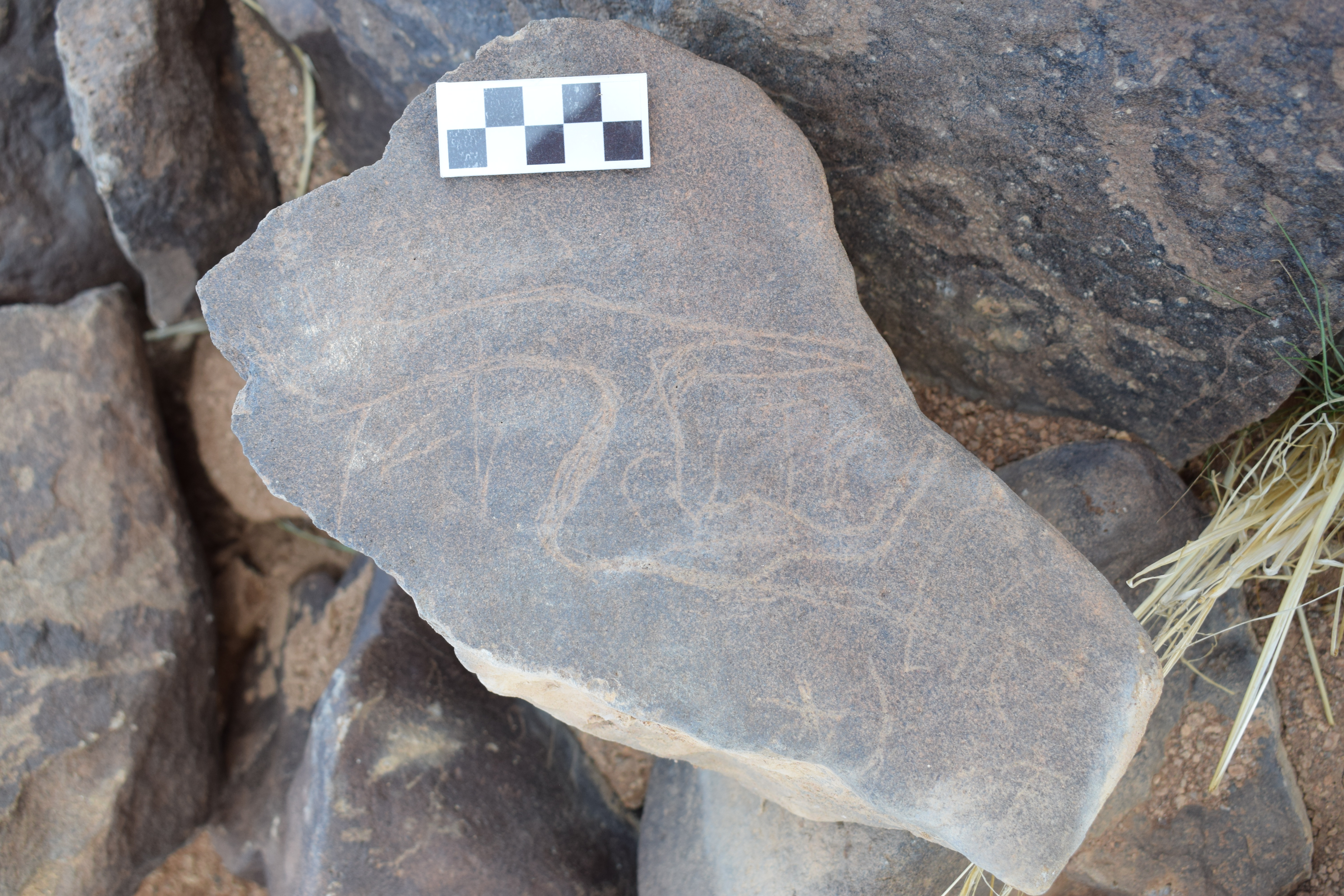 Image of siglum BES20 1398