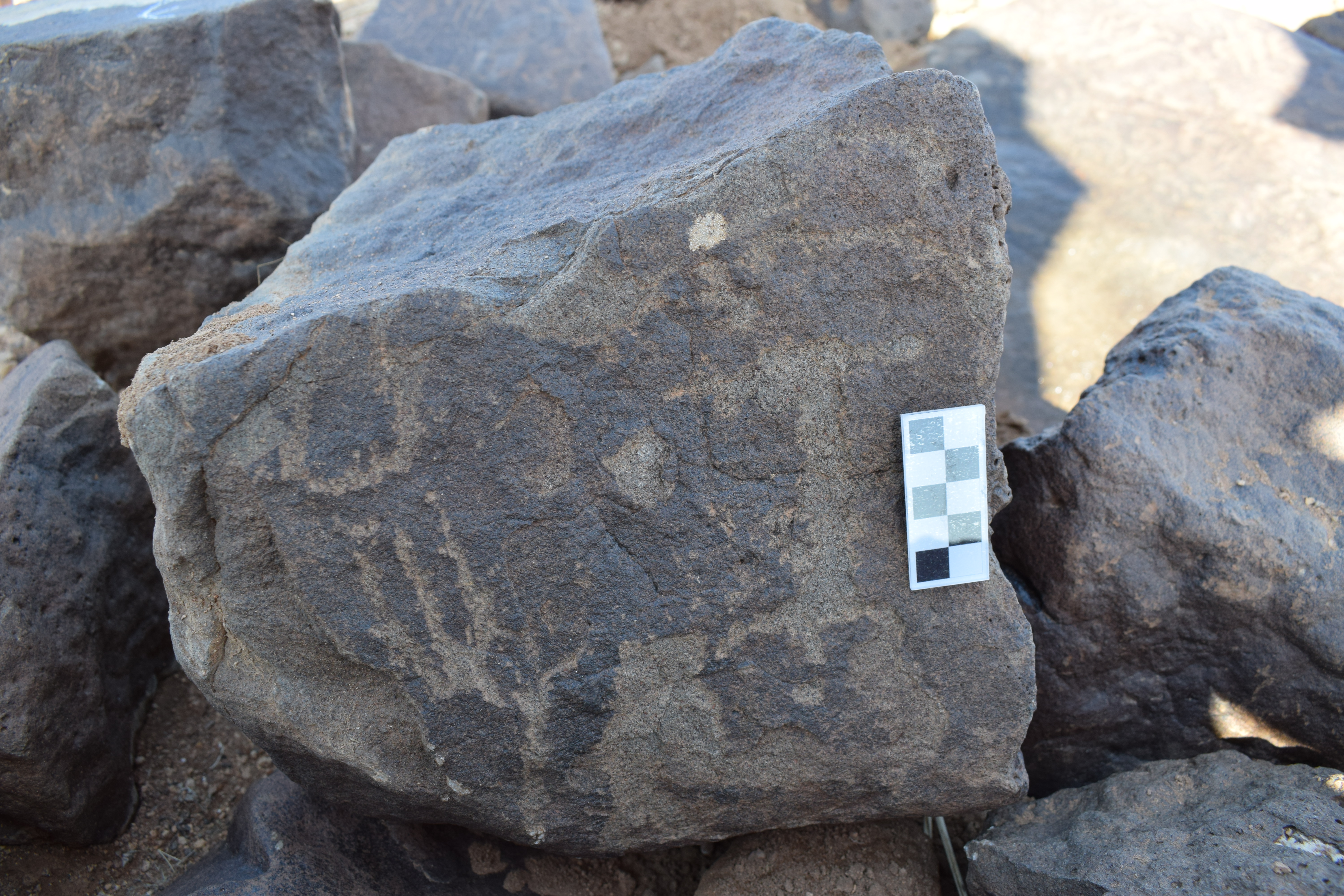 Image of siglum BES20 1398