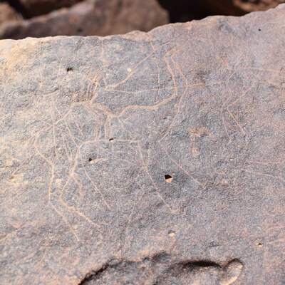 Image of siglum BES20 1398