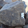 Image of siglum BES20 1398