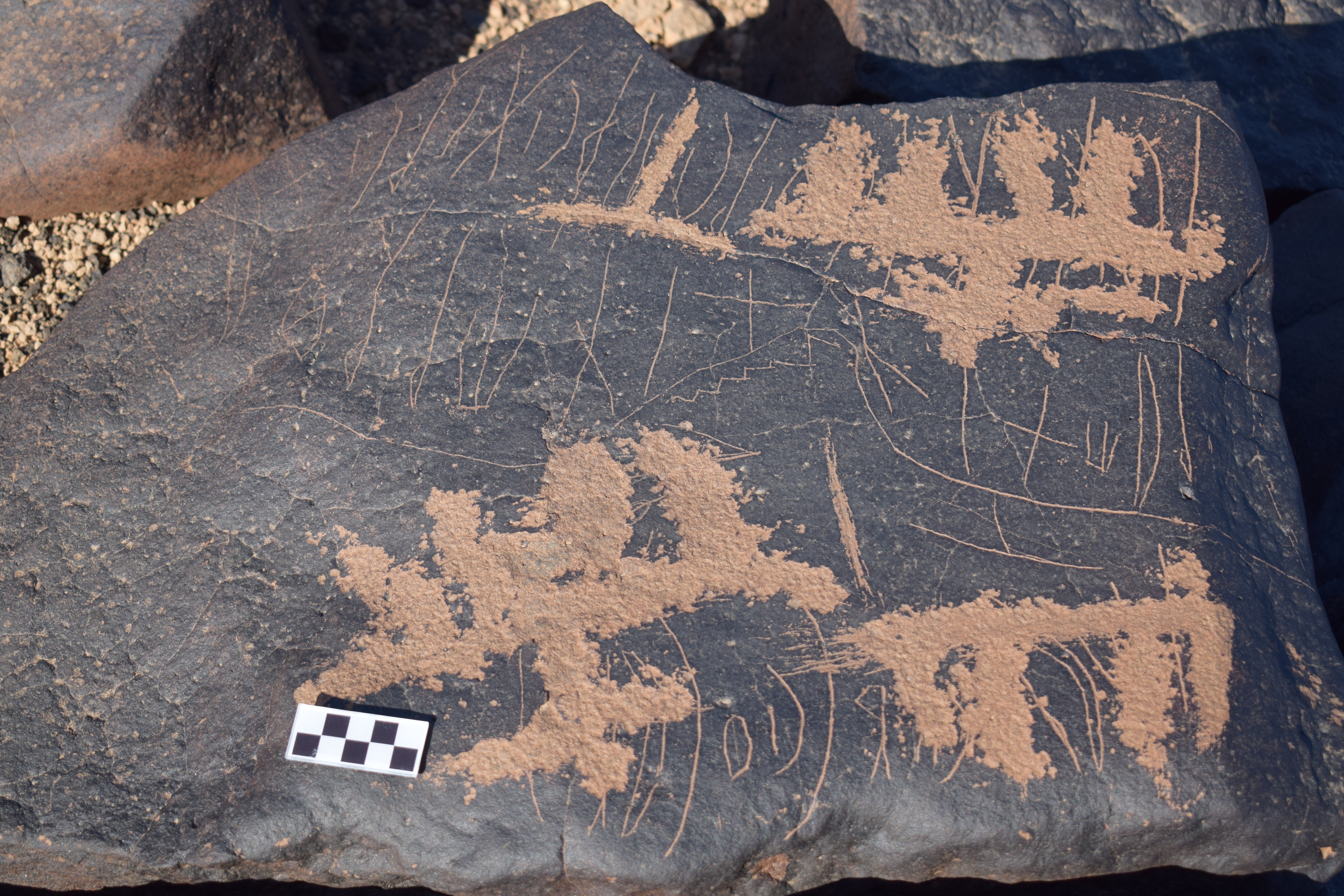Image of siglum BES20 1403