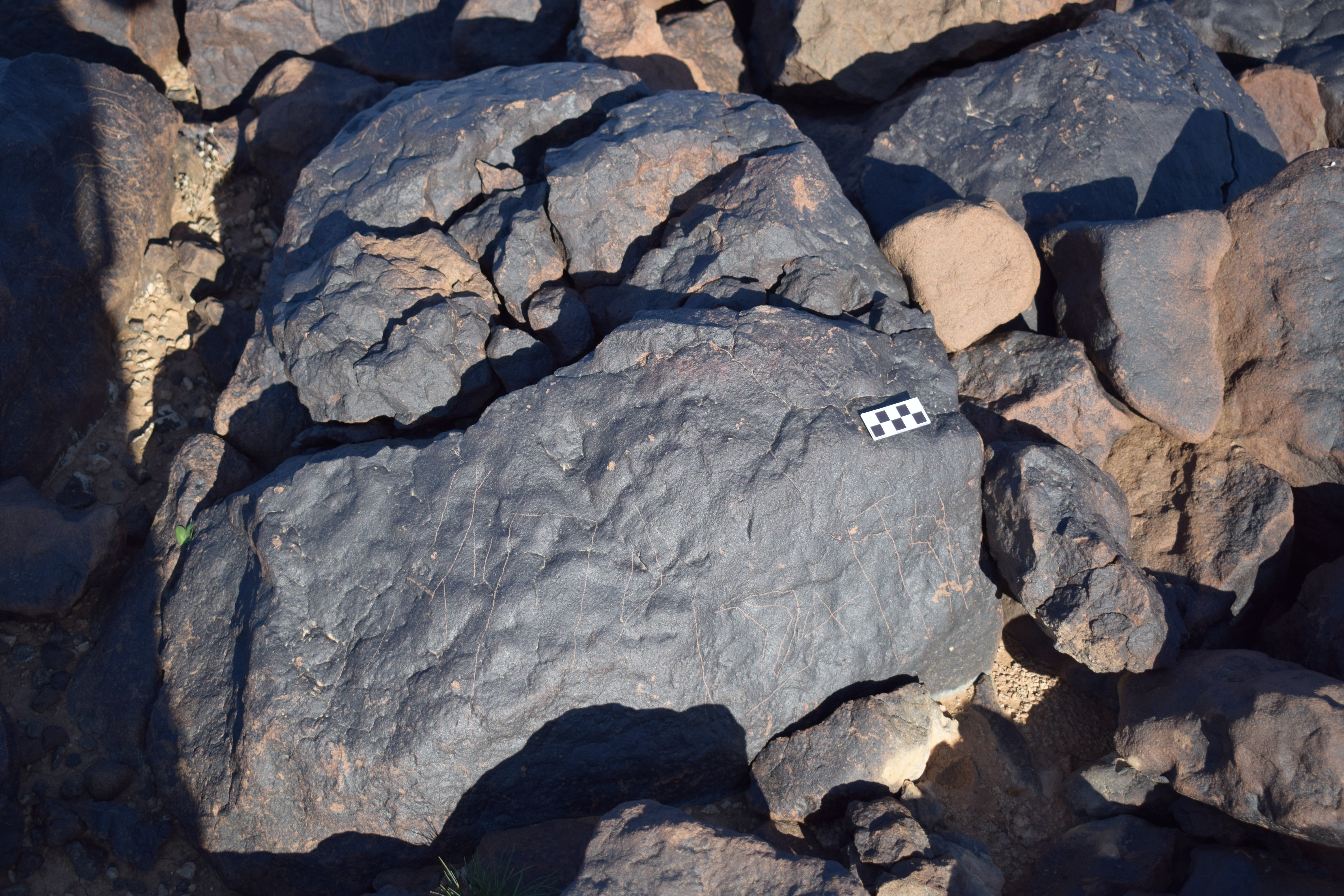 Image of siglum BES20 1404