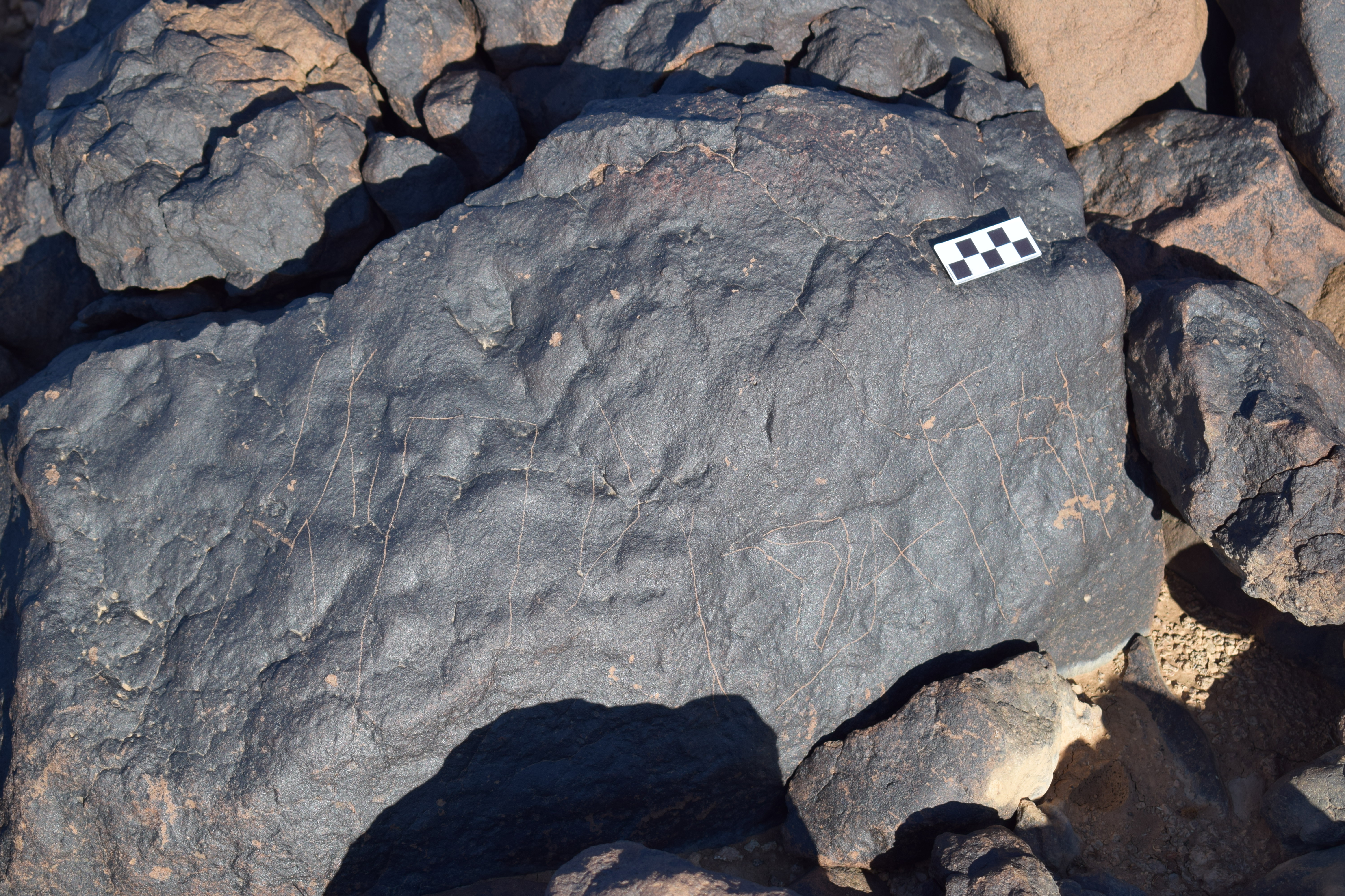 Image of siglum BES20 1404