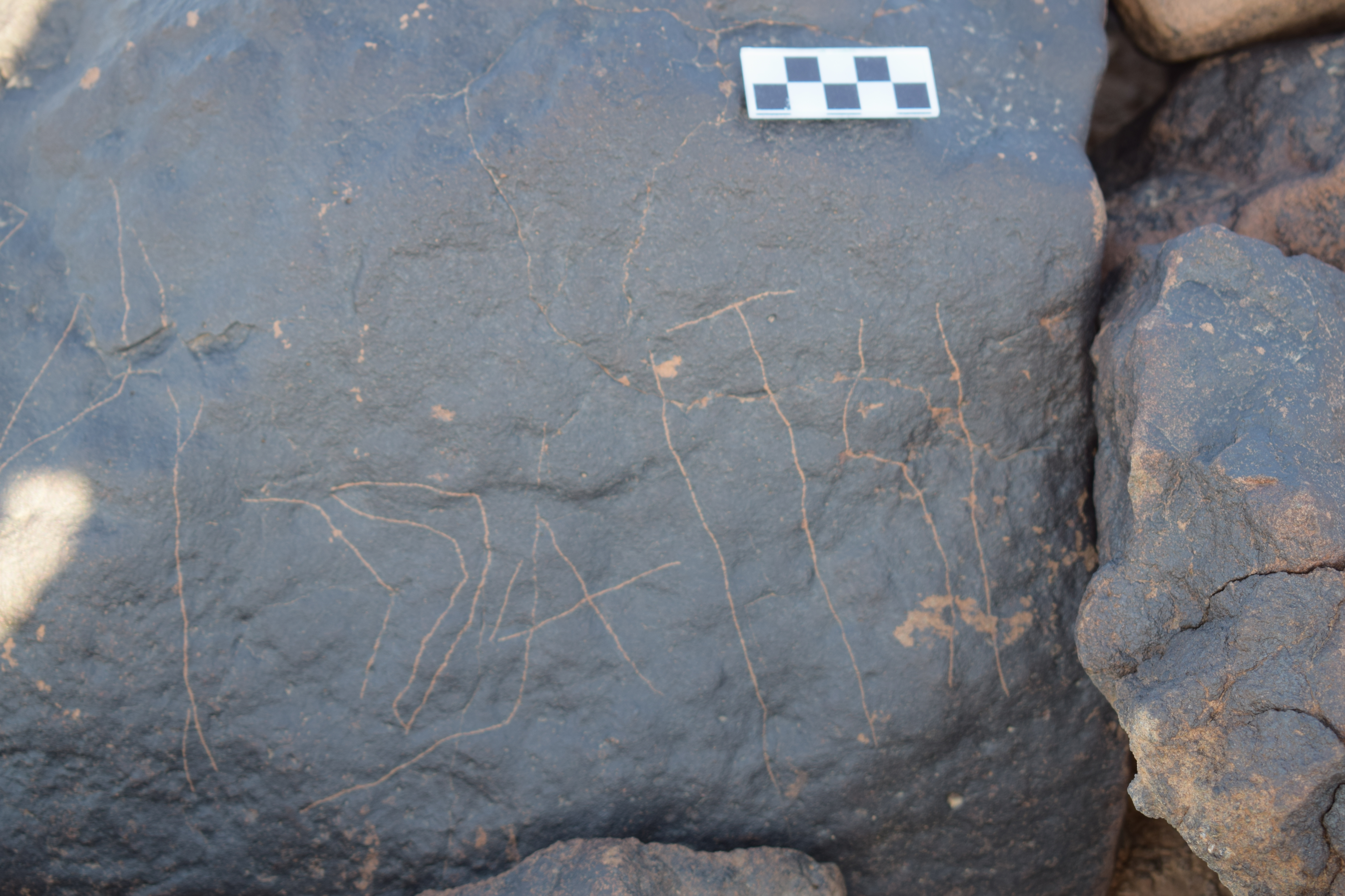 Image of siglum BES20 1404