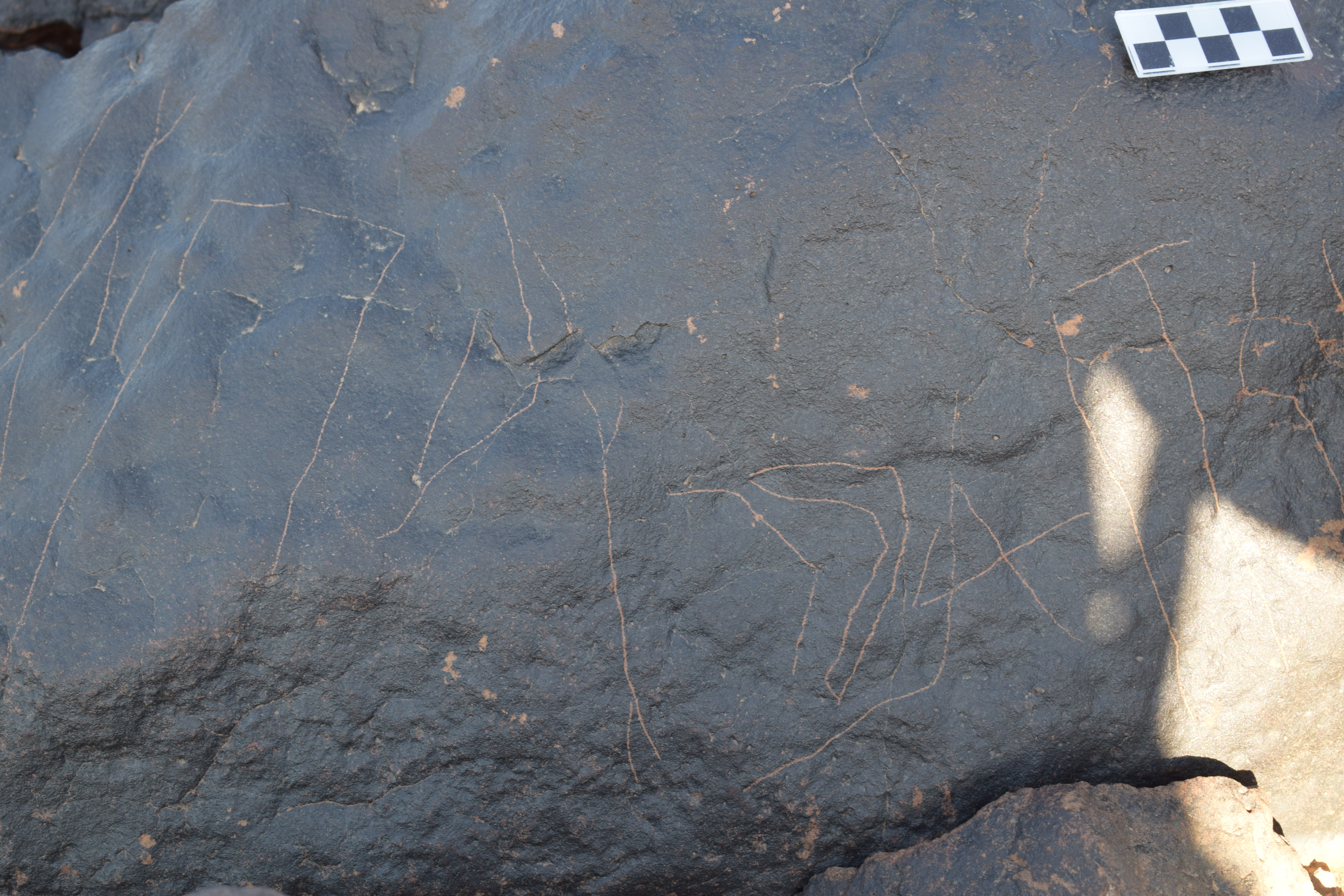 Image of siglum BES20 1404