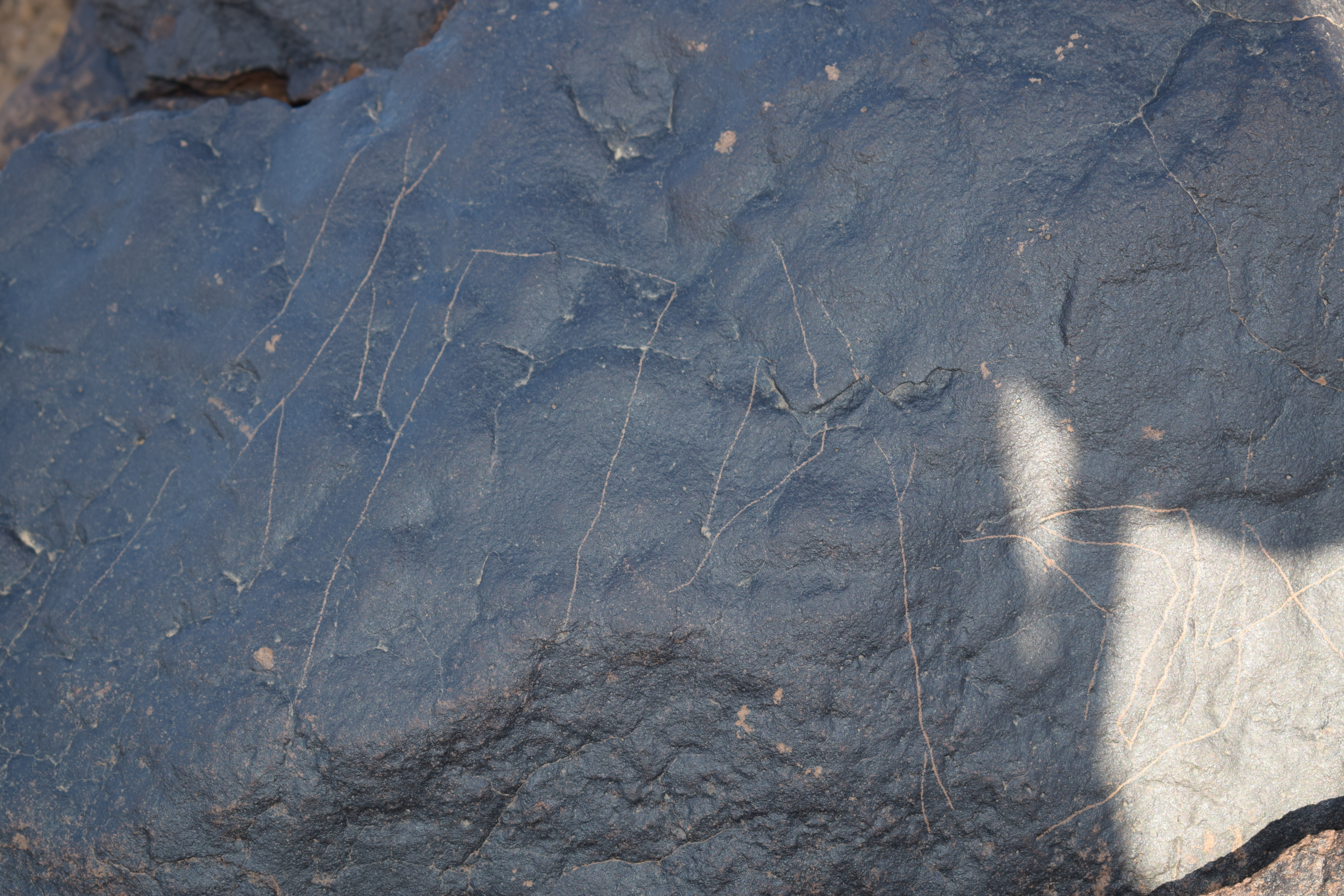 Image of siglum BES20 1404