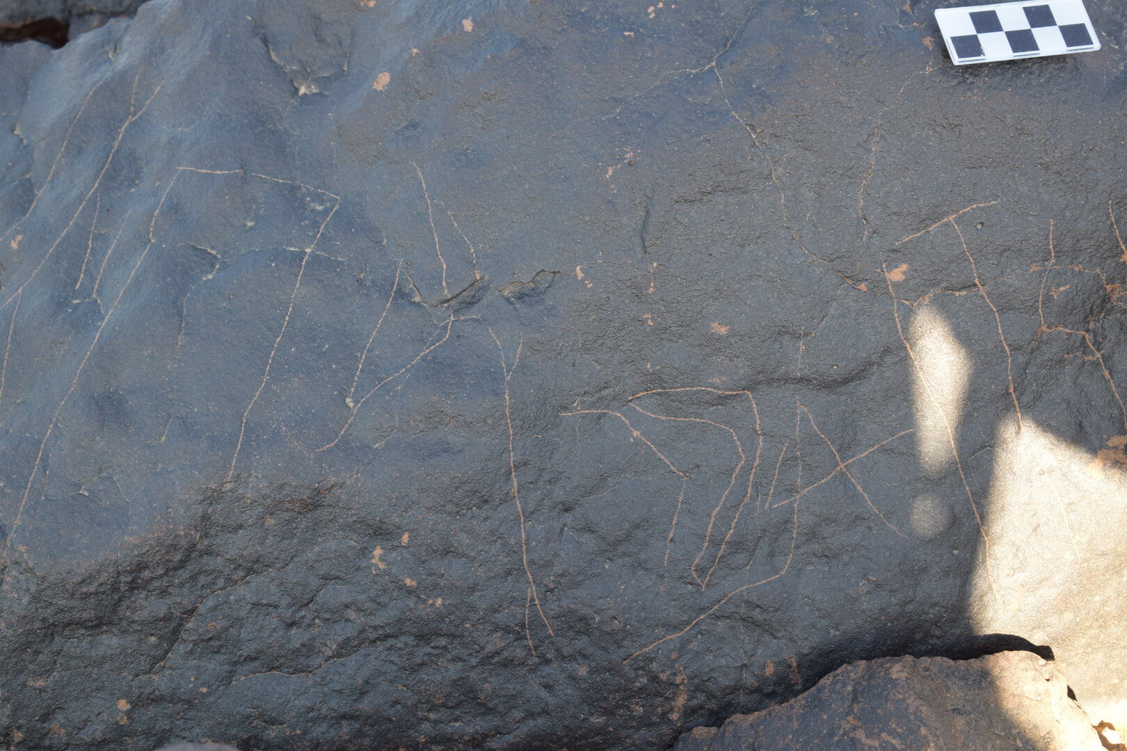 Image of siglum BES20 1404