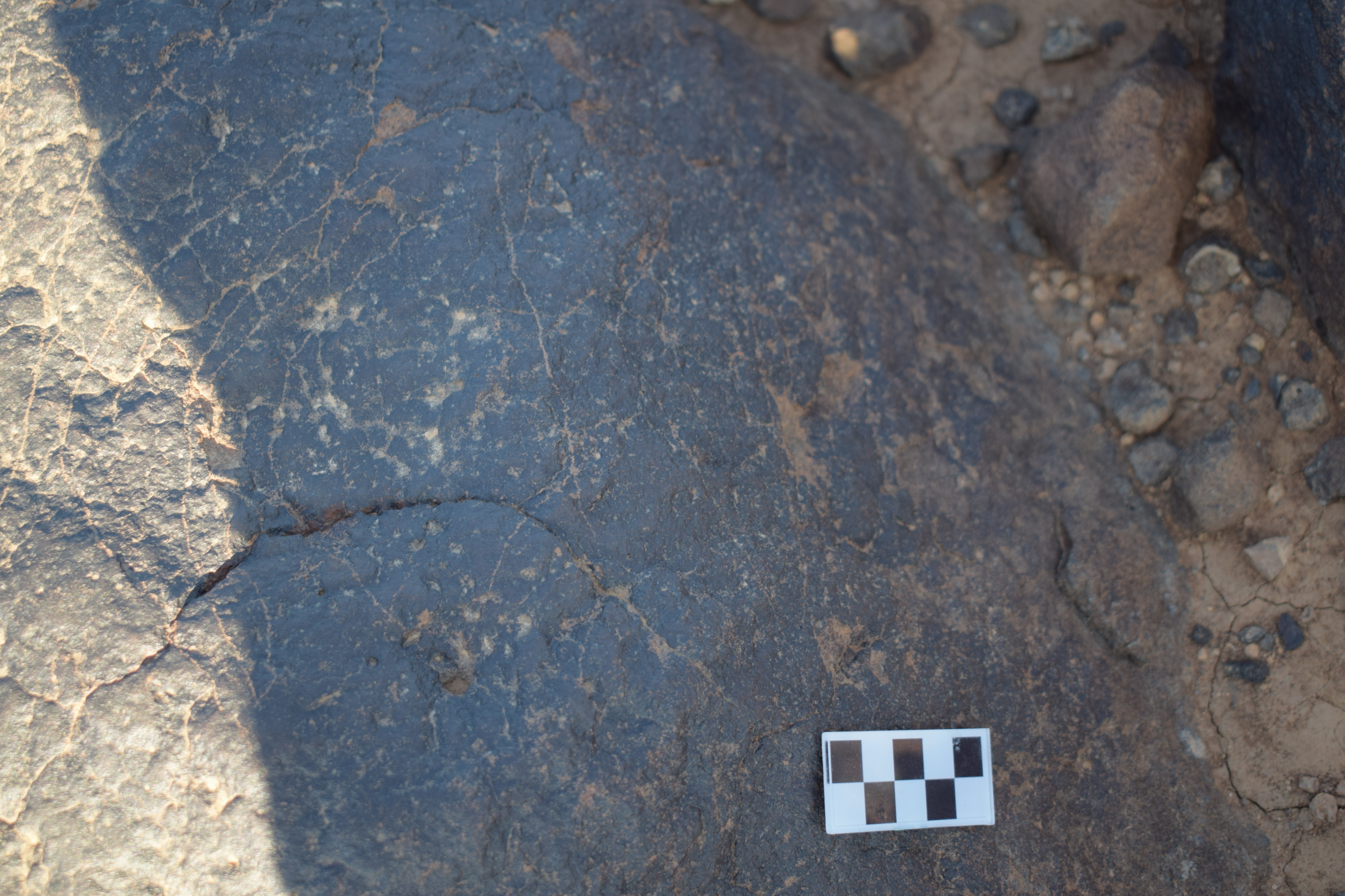 Image of siglum BES20 1406