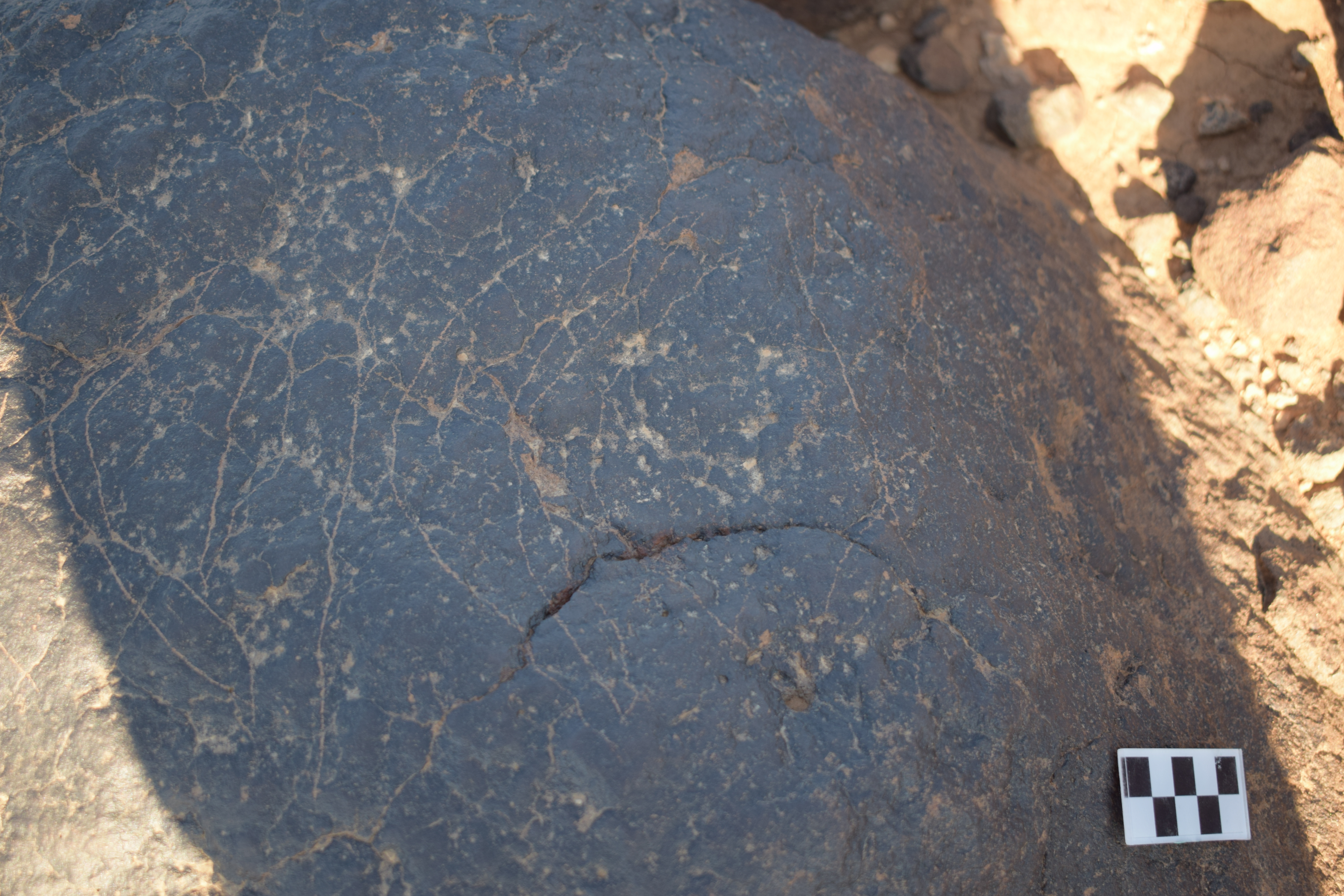 Image of siglum BES20 1406