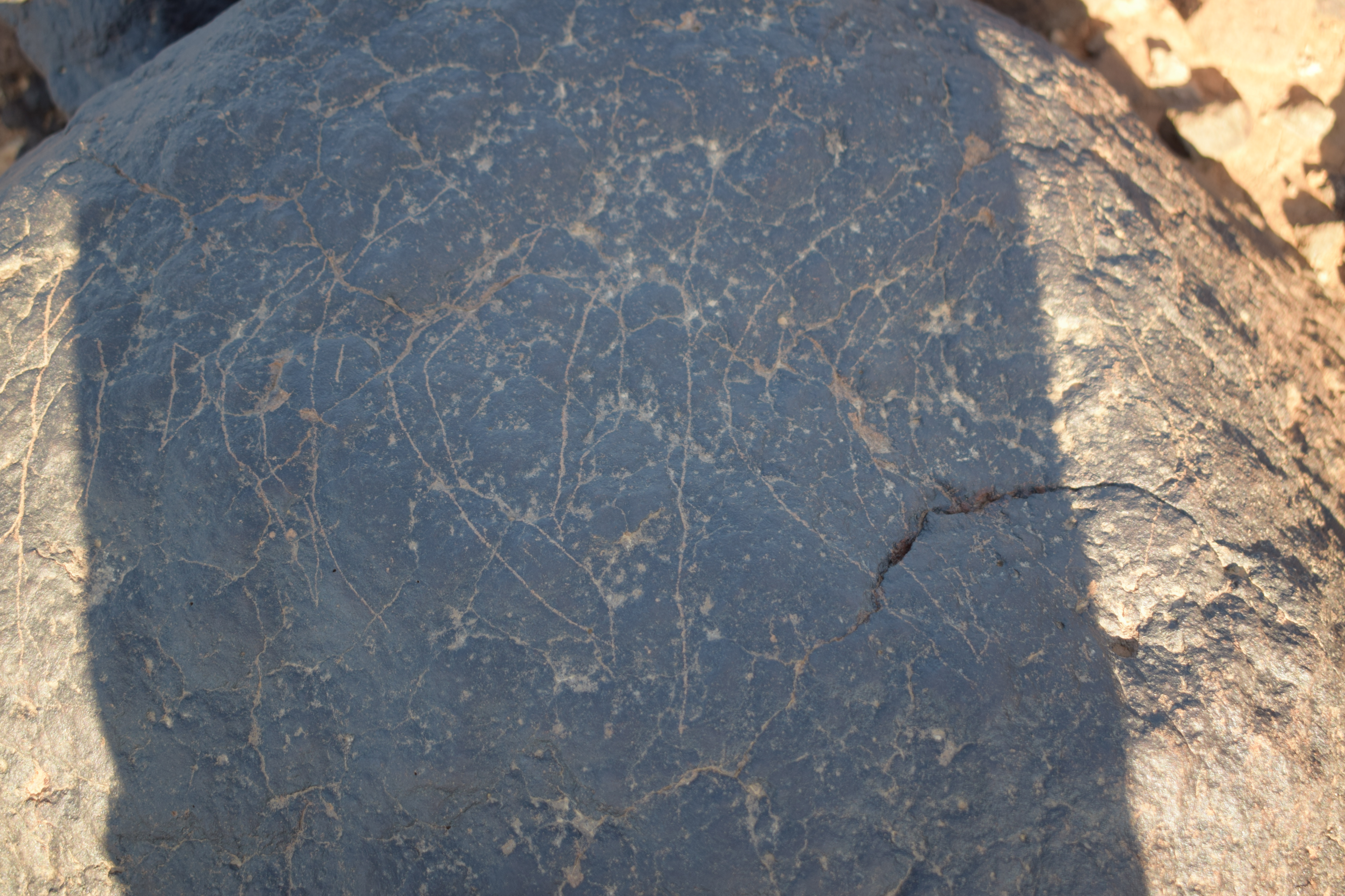 Image of siglum BES20 1406