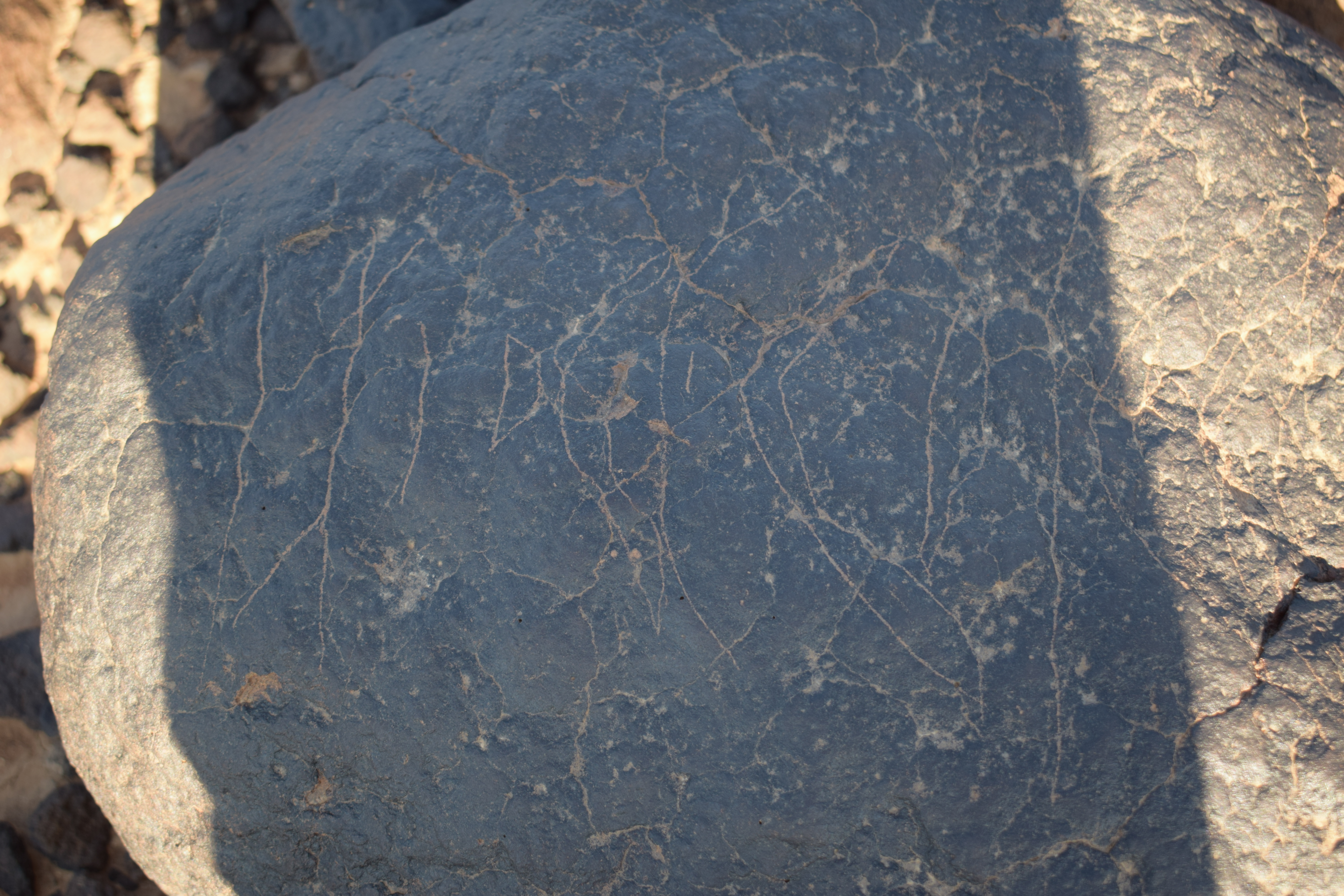 Image of siglum BES20 1406