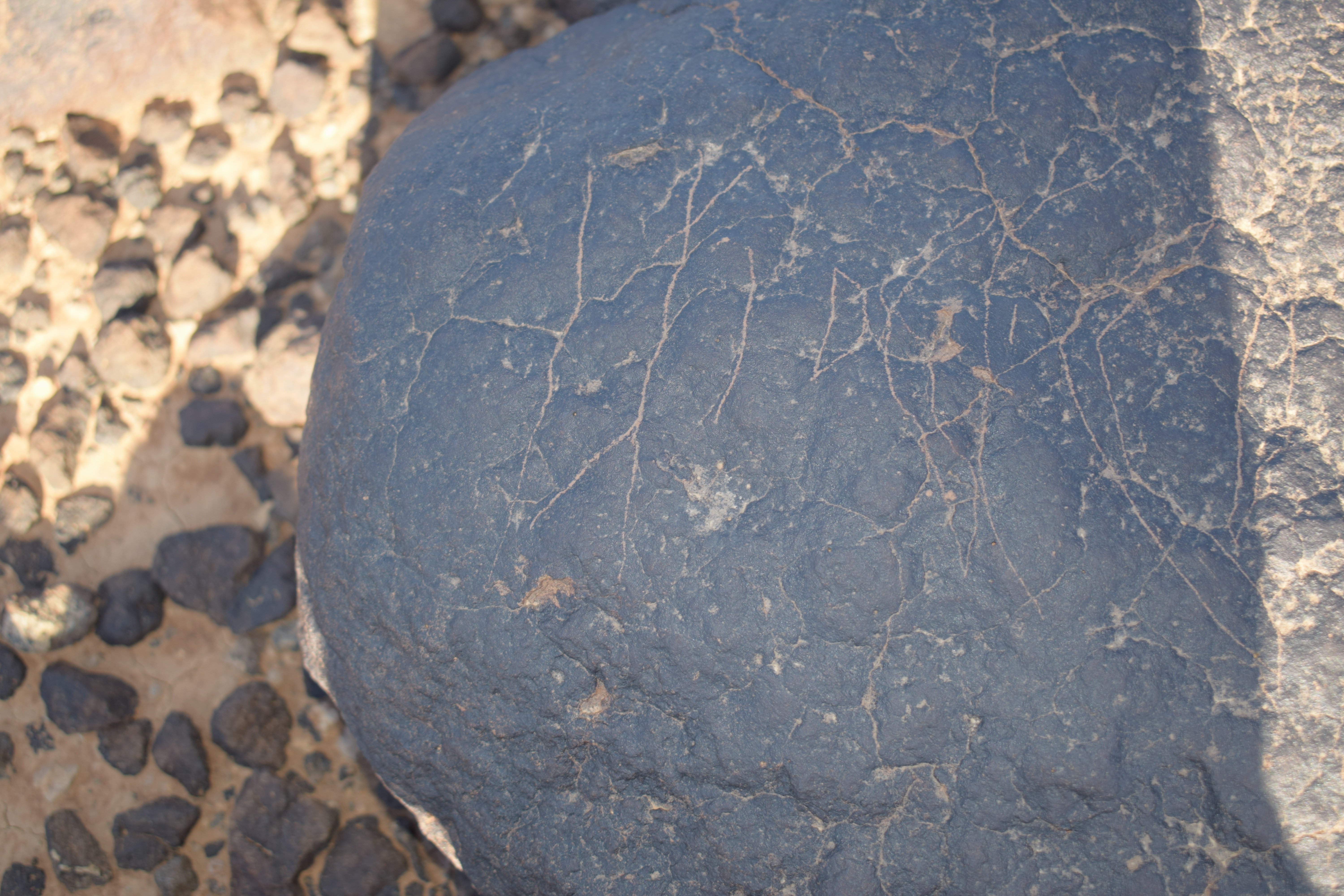 Image of siglum BES20 1406