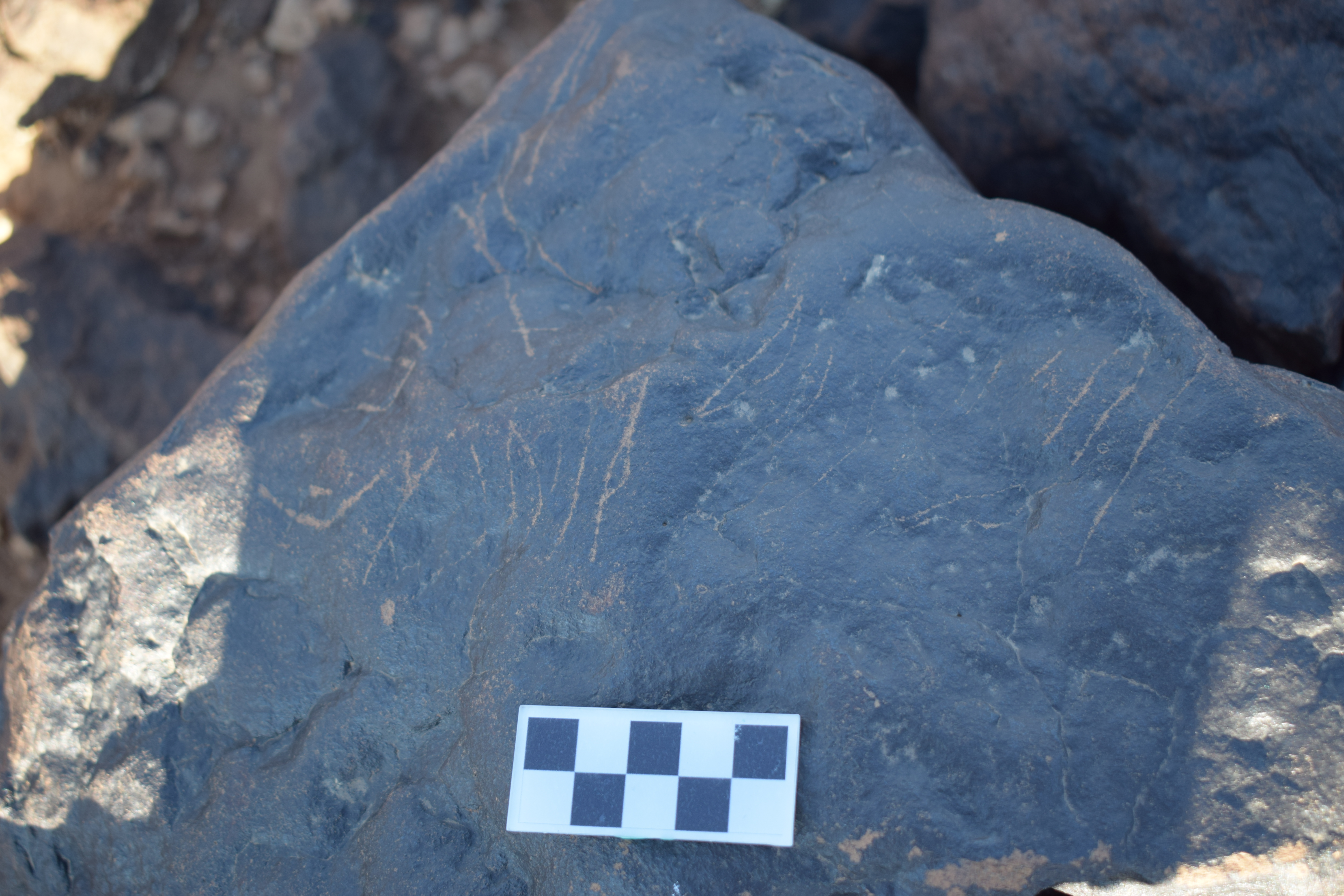 Image of siglum BES20 1407